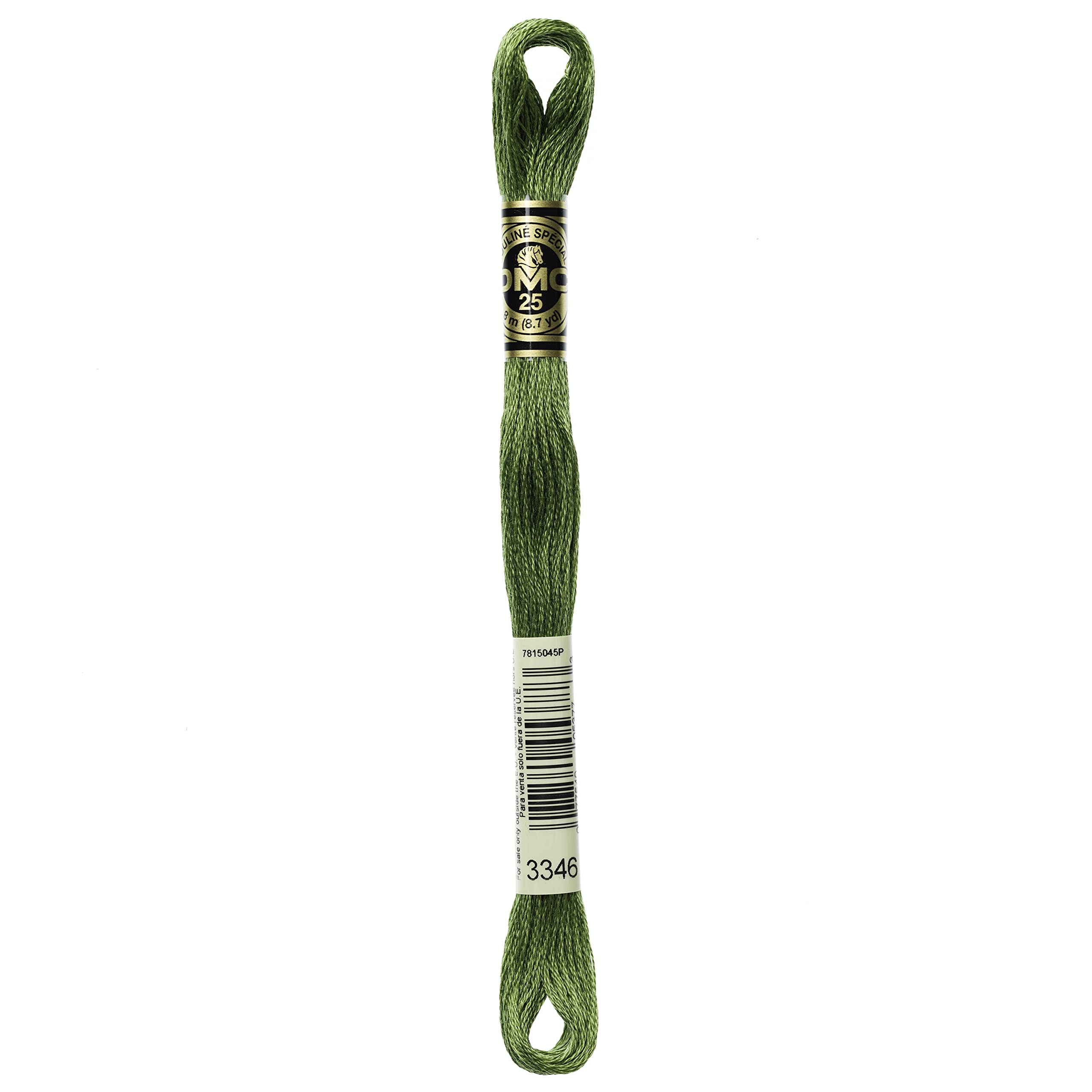 DMC 6-Strand Embroidery Cotton Floss, Hunter Green
