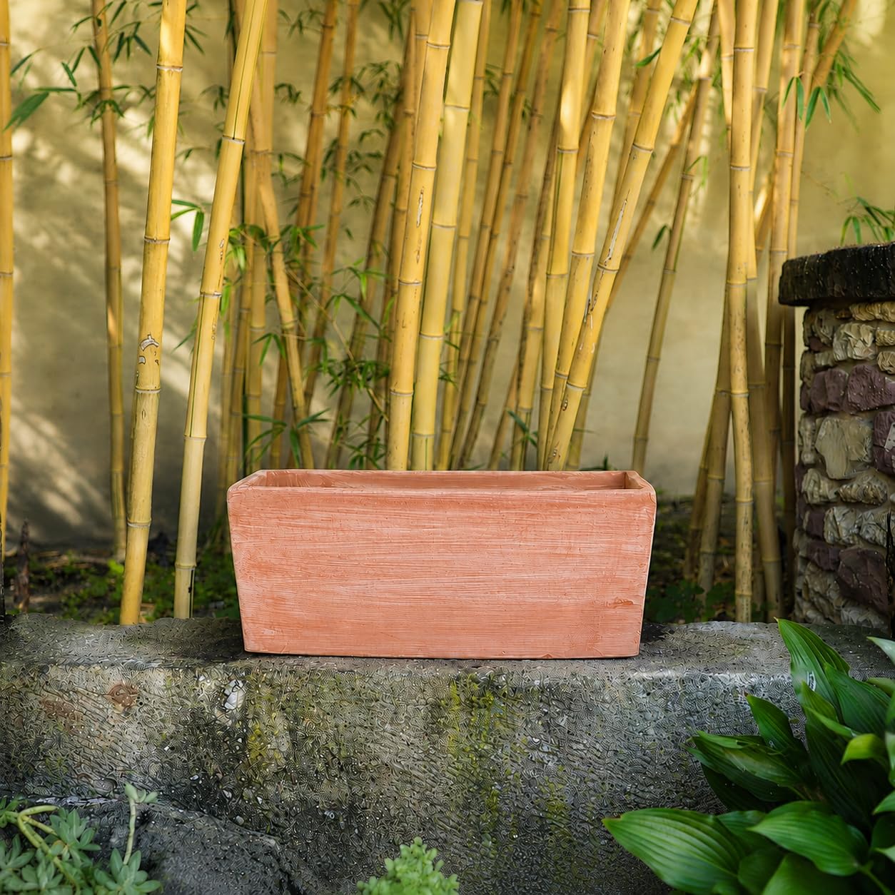 Palatina Werkstatt Vaso rettangolare e quadrato da 30 cm, 40 cm, 50 cm, 60 cm, il vaso perfetto per le vostre piante preferite (50 x 20 x 20 cm)