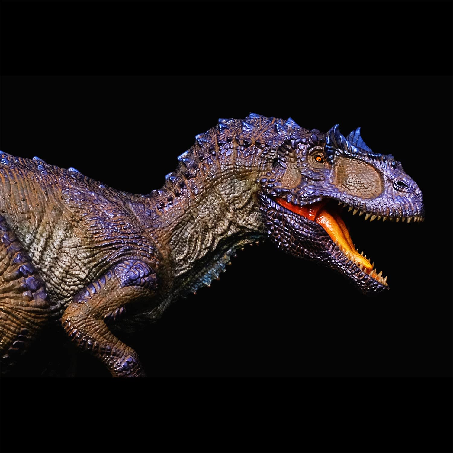 Amazon | Rebor 1/35サイズ サウロファガナクス 異竜 肉食獣脚類 