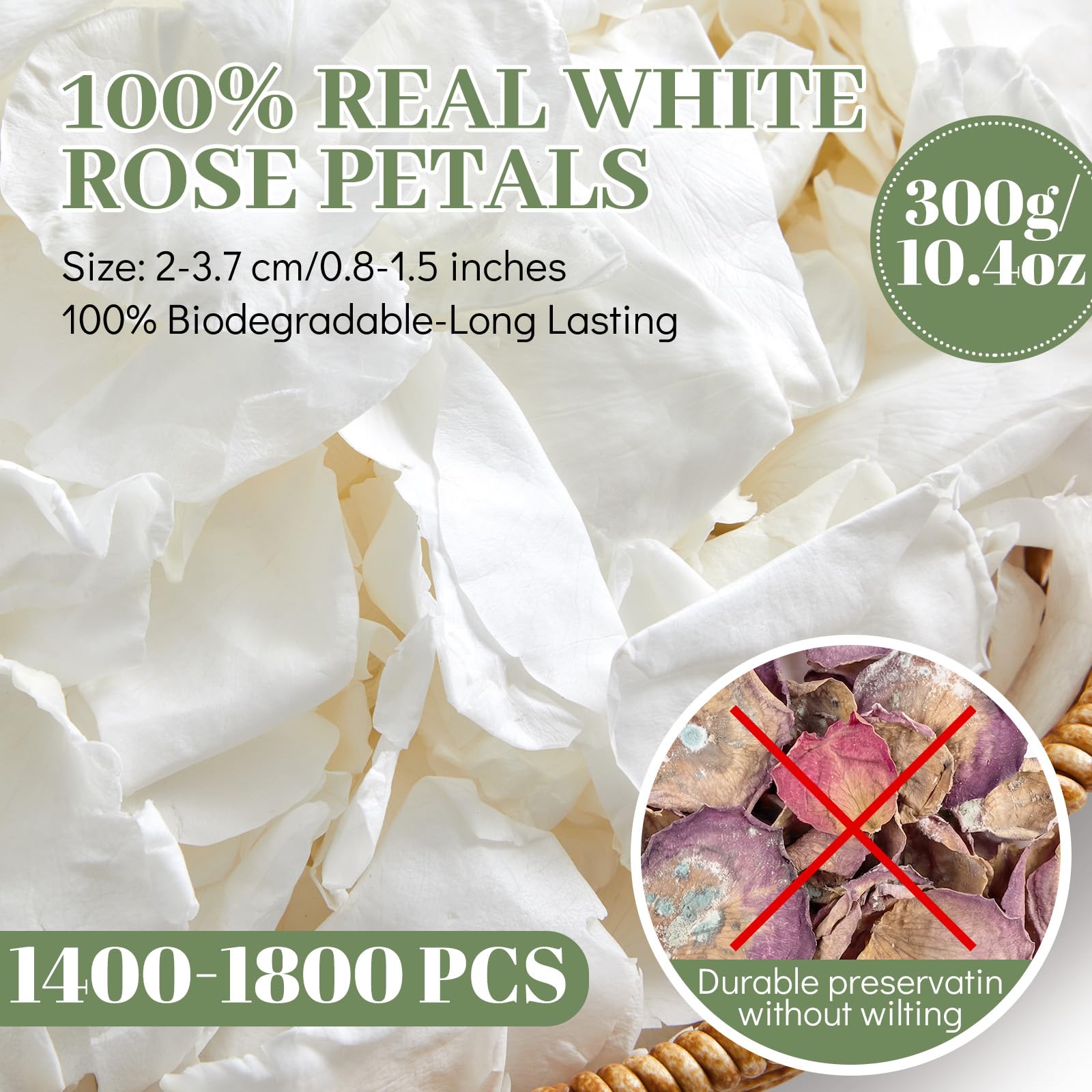 Geiserailie 1400+ petali di rosa bianchi veri, 300 g, liofilizzati, coriandoli naturali per matrimoni, addio al nubilato, proposte, notte romantica, decorazione da tavolo