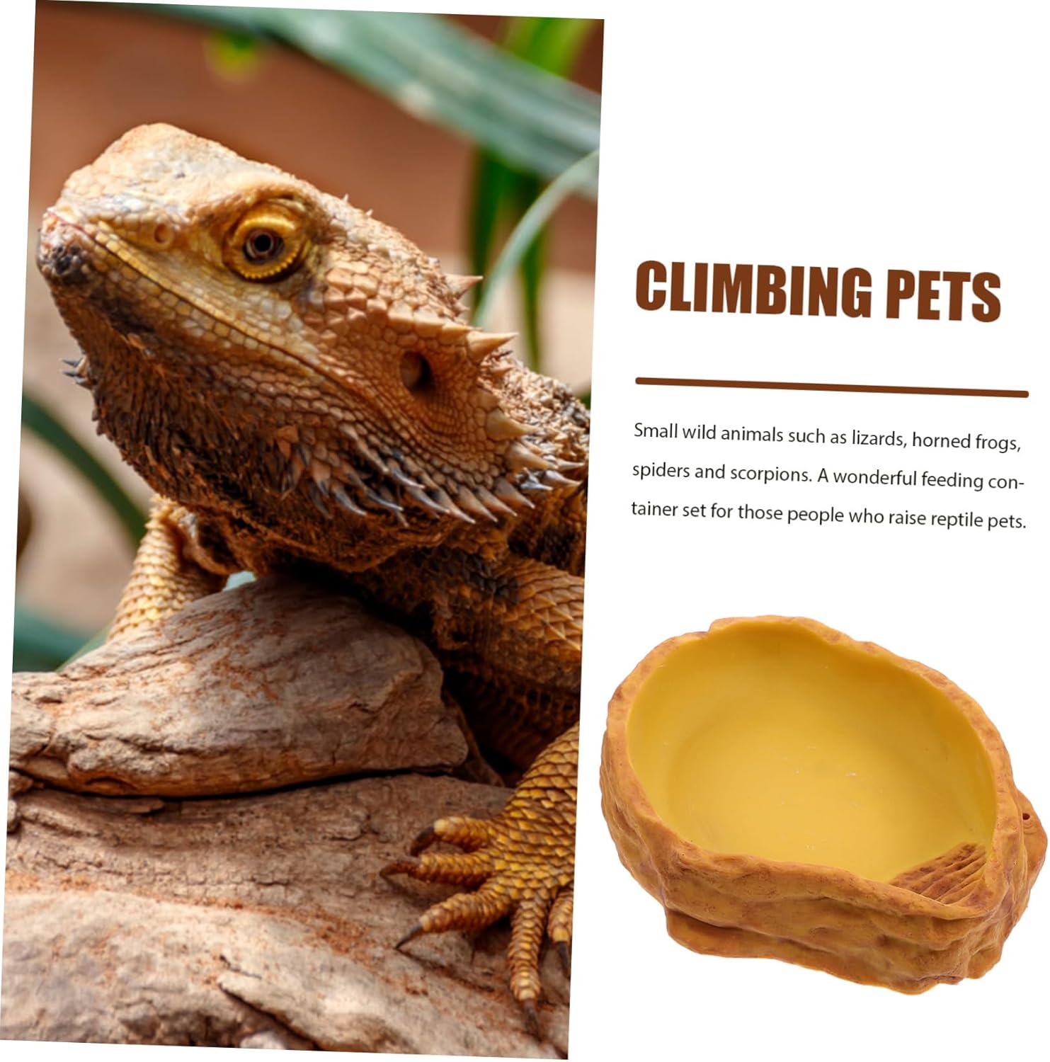 SUPVOX Reptile Terrarium Accessories Simulated Rock Landscaping Basin Reptile Feeding Bowl Safe Eco-Friendly for Guinea Pig Home