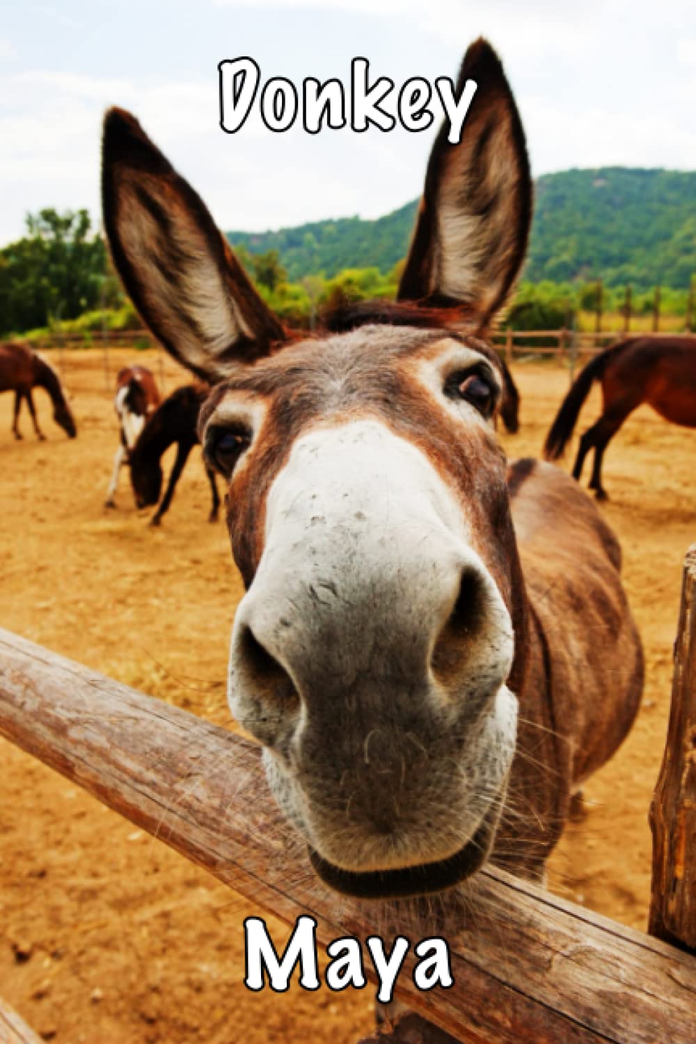 Donkey Maya: Personalized notebook name Maya Cute Blank Lined Donkeys Notebook to Write Notes, To Do Lists, Notepad, Journal, Funny Gifts Journal for ... Notebook, 110 Pages, size 6 x 9