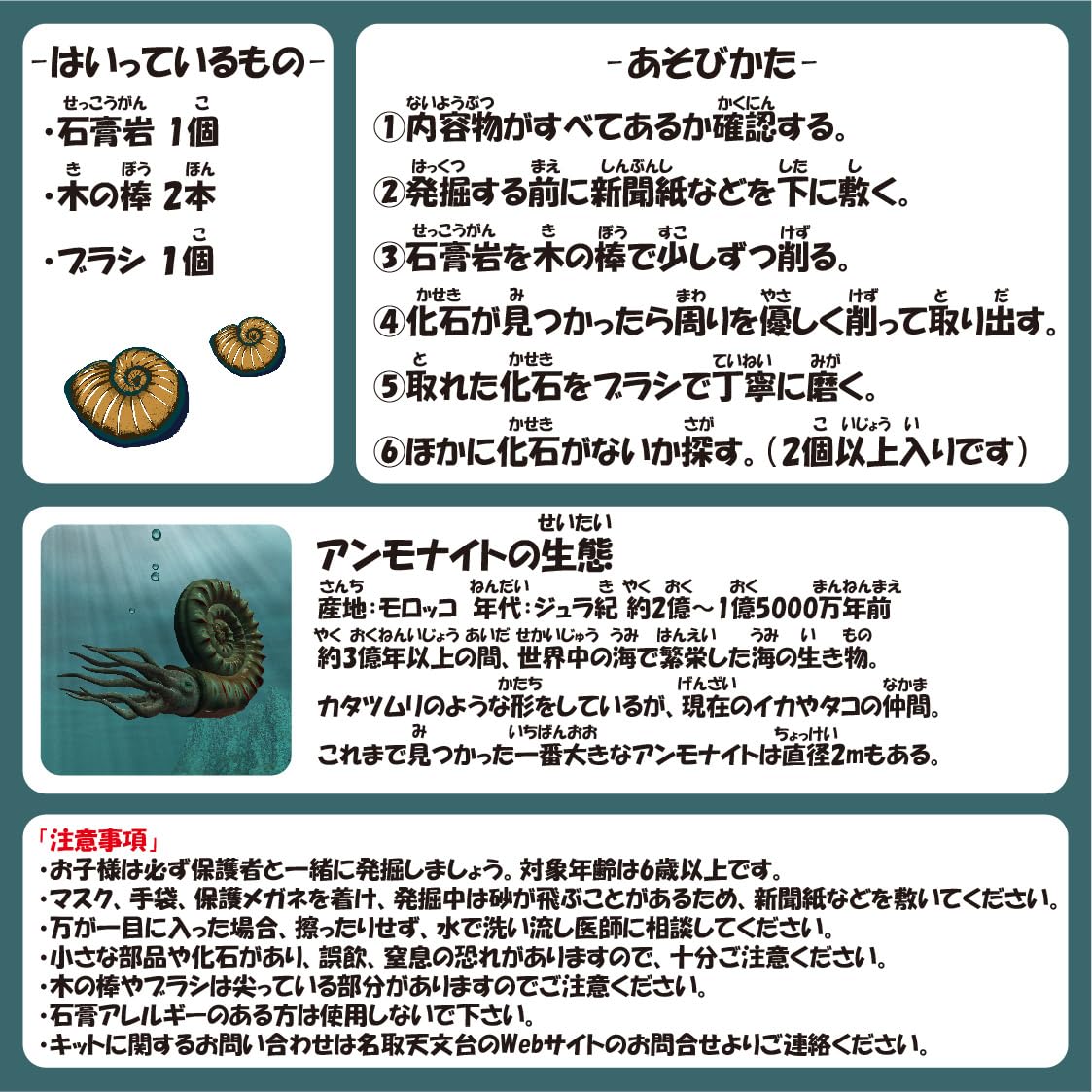 Amazon | 【恐竜が生きたジュラ紀の化石】アンモナイト発掘キット