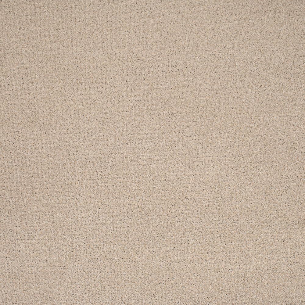 247Floors Flecked Twist Pile Carpet Roll, Hardwearing Felt Backing (5m x 4m, Sandy Beige)