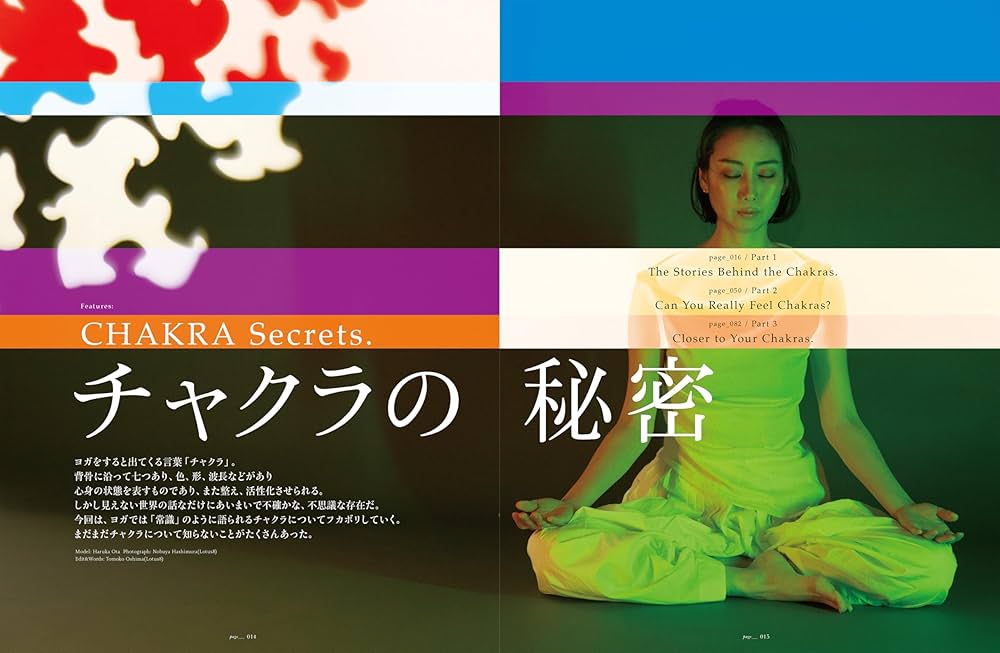 The yogis magazine vol.13 (別冊ステレオサウンド) | The yogis