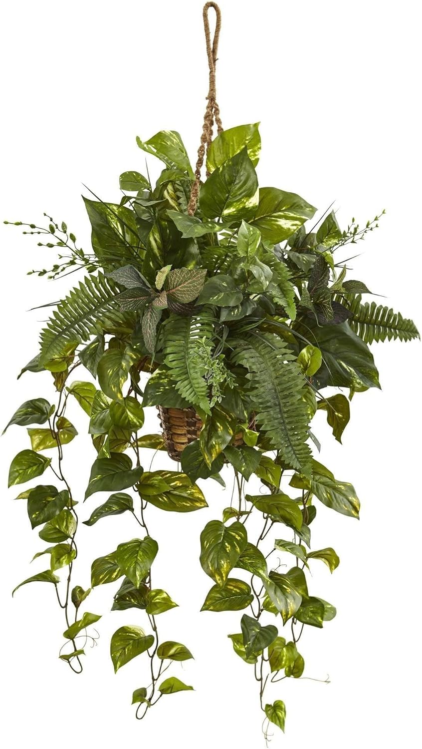 Nearly Natural Mixed Pothos and Boston Artificial Fern in Hanging Basket