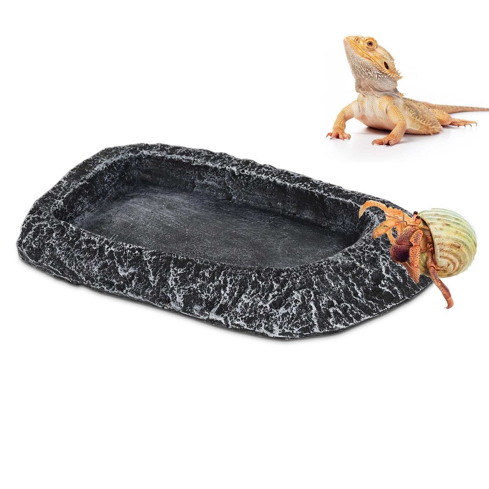 Reptile Water Dish