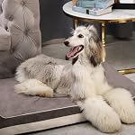 Laifug Mousse Orthopédique pour mémoire Extra grand lit de chien avec oreiller et liner imperméable & Couverture lavable amovible & Conception intelligente (Grande)46 de pouce x28 de pouce x8 de pouce, gris)