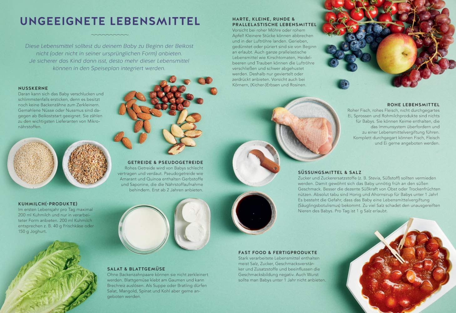 Das große GU Breifrei-Kochbuch: Die besten Rezepte und Tipps von den Expertinnen des breifreibaby-Blogs