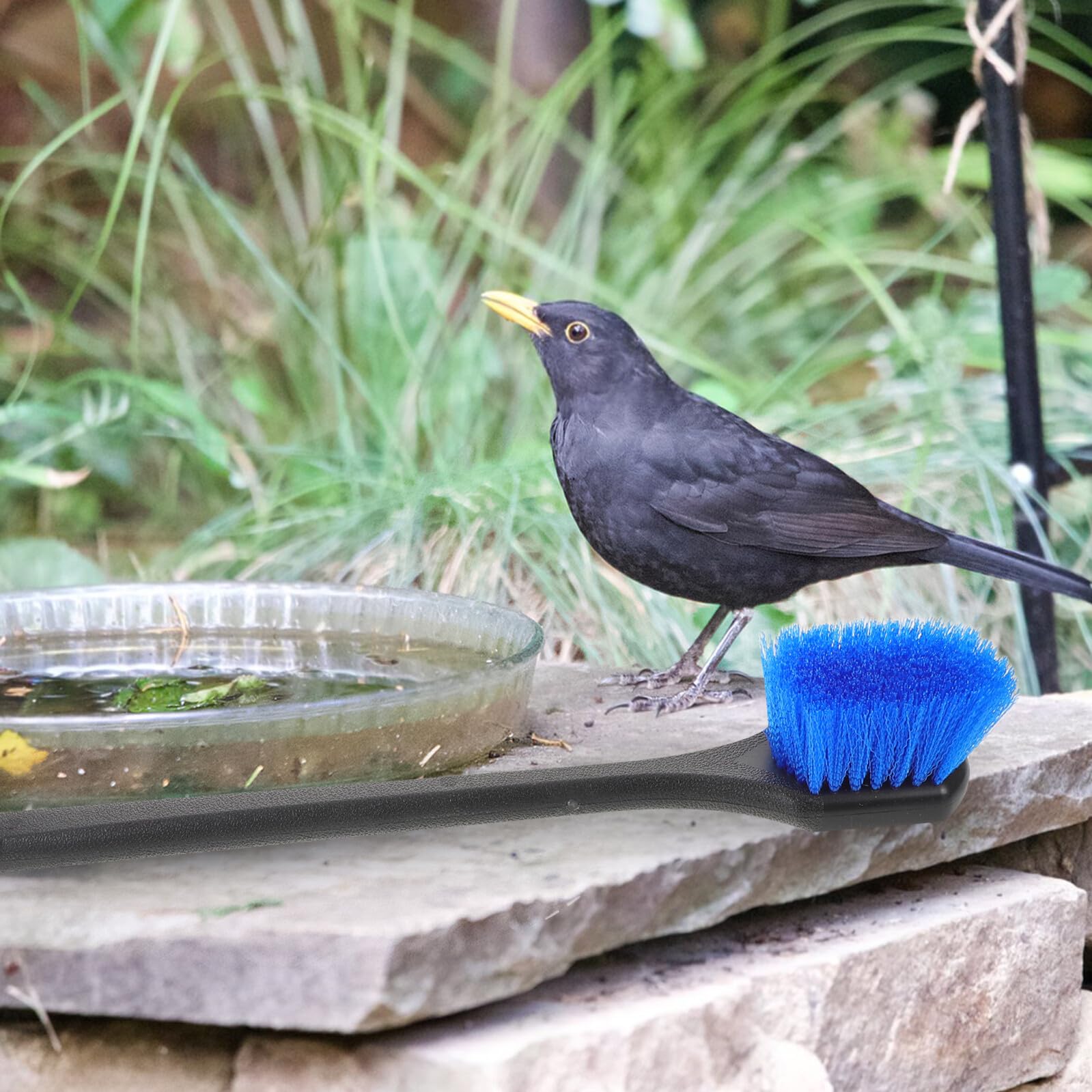 SHOWERORO Cepillo para Limpiar Bebederos para Pájaros con Mango Largo, Color Azul, Cepillo de Limpieza para Comederos y Baños de Aves, Herramienta para Jardinería y Cuidado de Aves en Patio