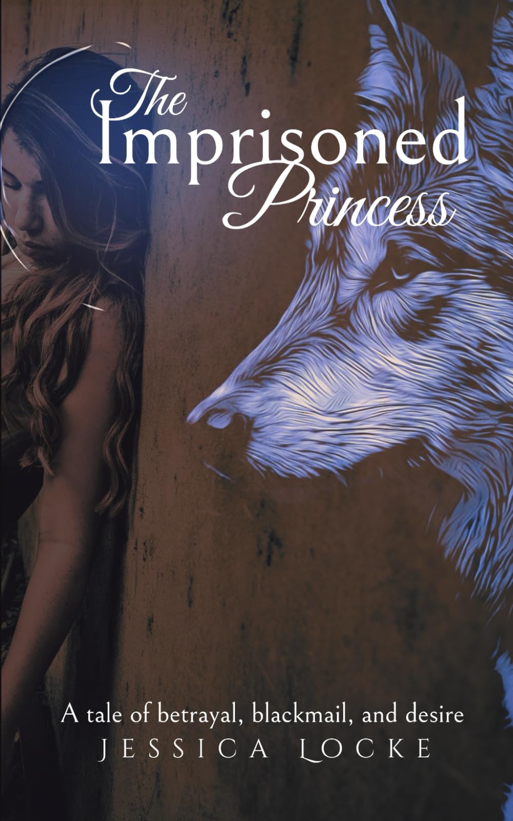 The Imprisoned Princess: The Hunterson Series: 1