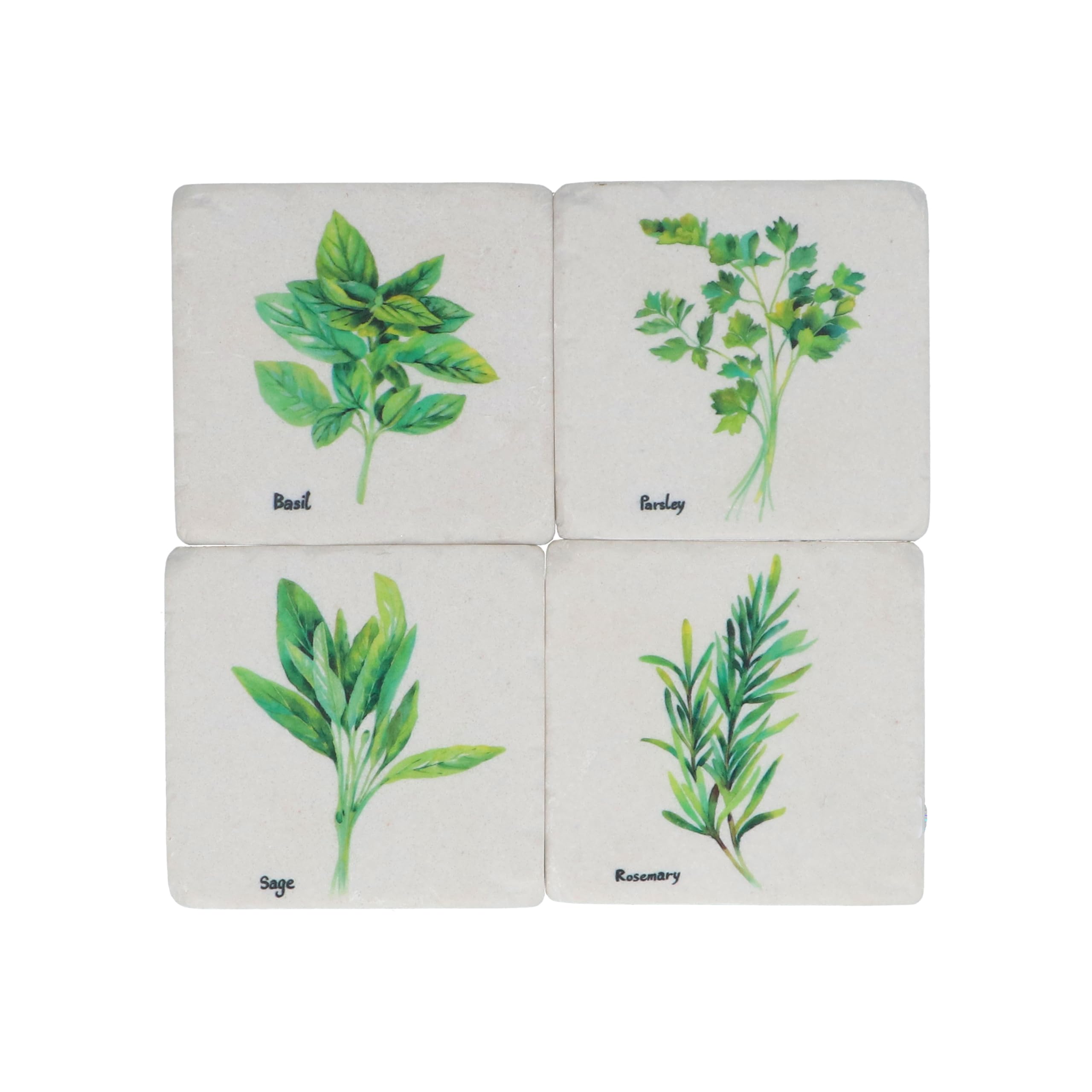 Gisela Graham Green Herbs Resin Coasters - Set Of Four
