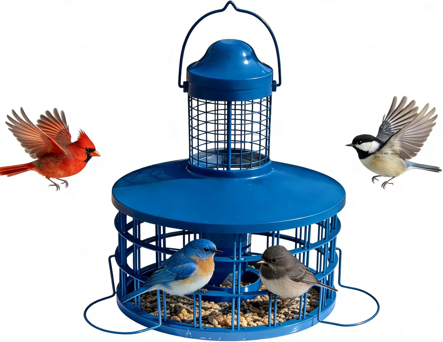 Squirrel Proof Caged Mealworm Bluebird Feeder with Detachable Grille, Easy Refill and Clean, Attract Wild Blue Bird Small Birds Outdoor Hanging, Metal Tube Feeders with Tray Life Time Support