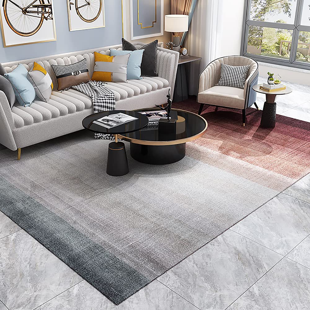 Tapis de salon doux Cashmere-Simile Ruby Lil grand tapis de zone shaggy