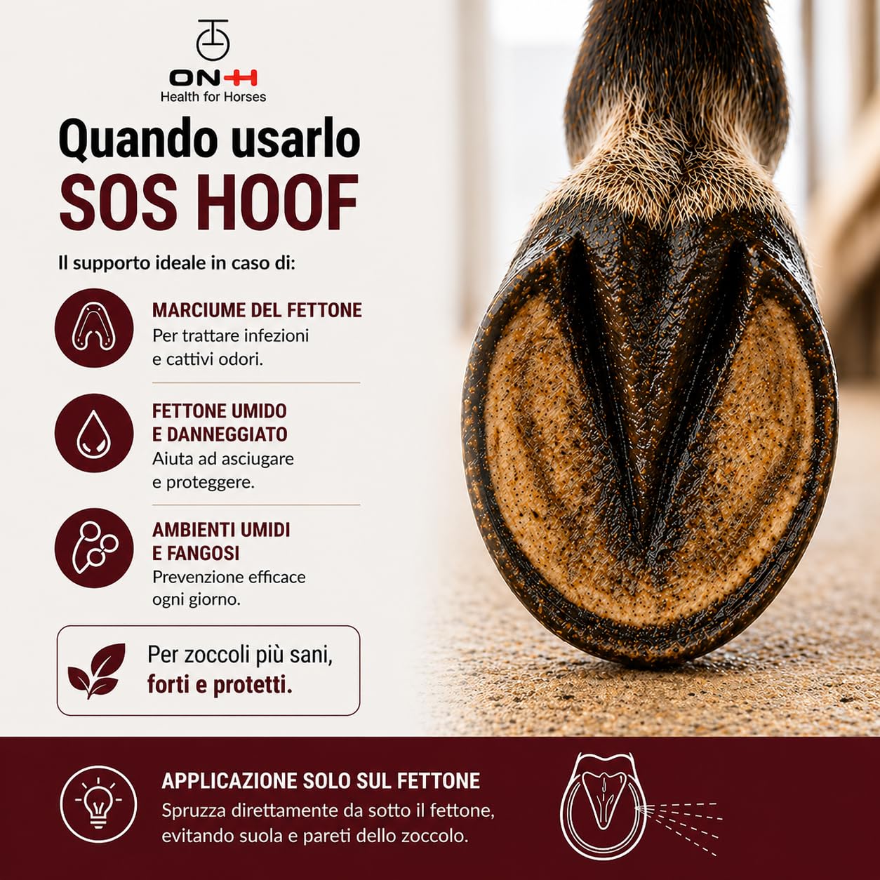 ON-H SOS Hoof Soluzione per Zoccoli Cavalli 200 ml | Igienizzante per Zoccoli Cavallo | Aiuta a Contrastare Marcimento e Impurità | Protezione Suola e Muraglia | Ideale per uso quotidiano in Scuderia