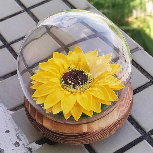 Miniatura 2 de Regalos de girasol para mujer, flores artificiales en cúpula de cristal con luces, regalos de cumpleaños para ella, mamá, amigas, San Valentín,