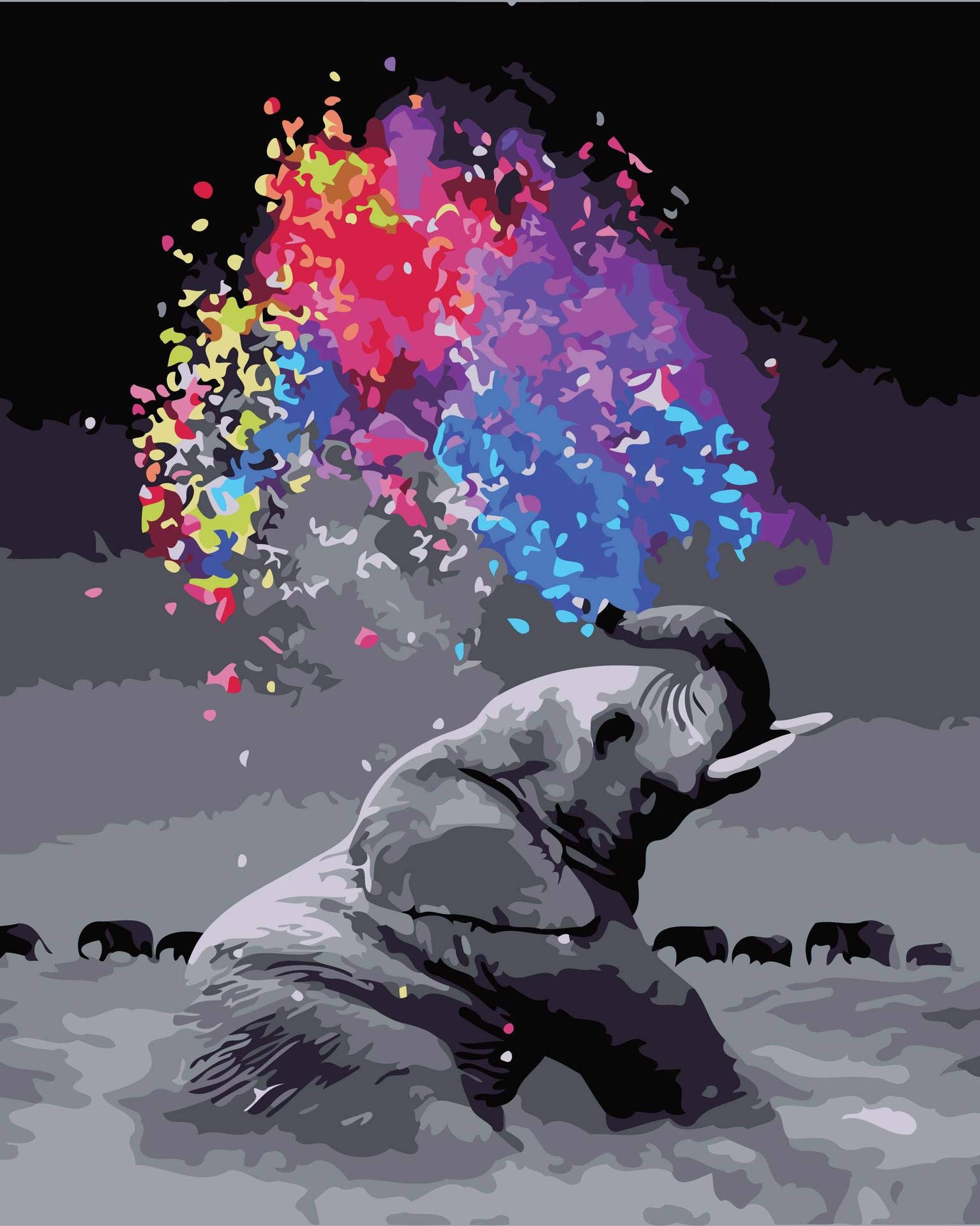 Sinjyun Colorful 12 Painting By Number For Adults Children Beginners,Kids Paint By Numbers 40X50cm,Oil Painting By Numbers Elephant