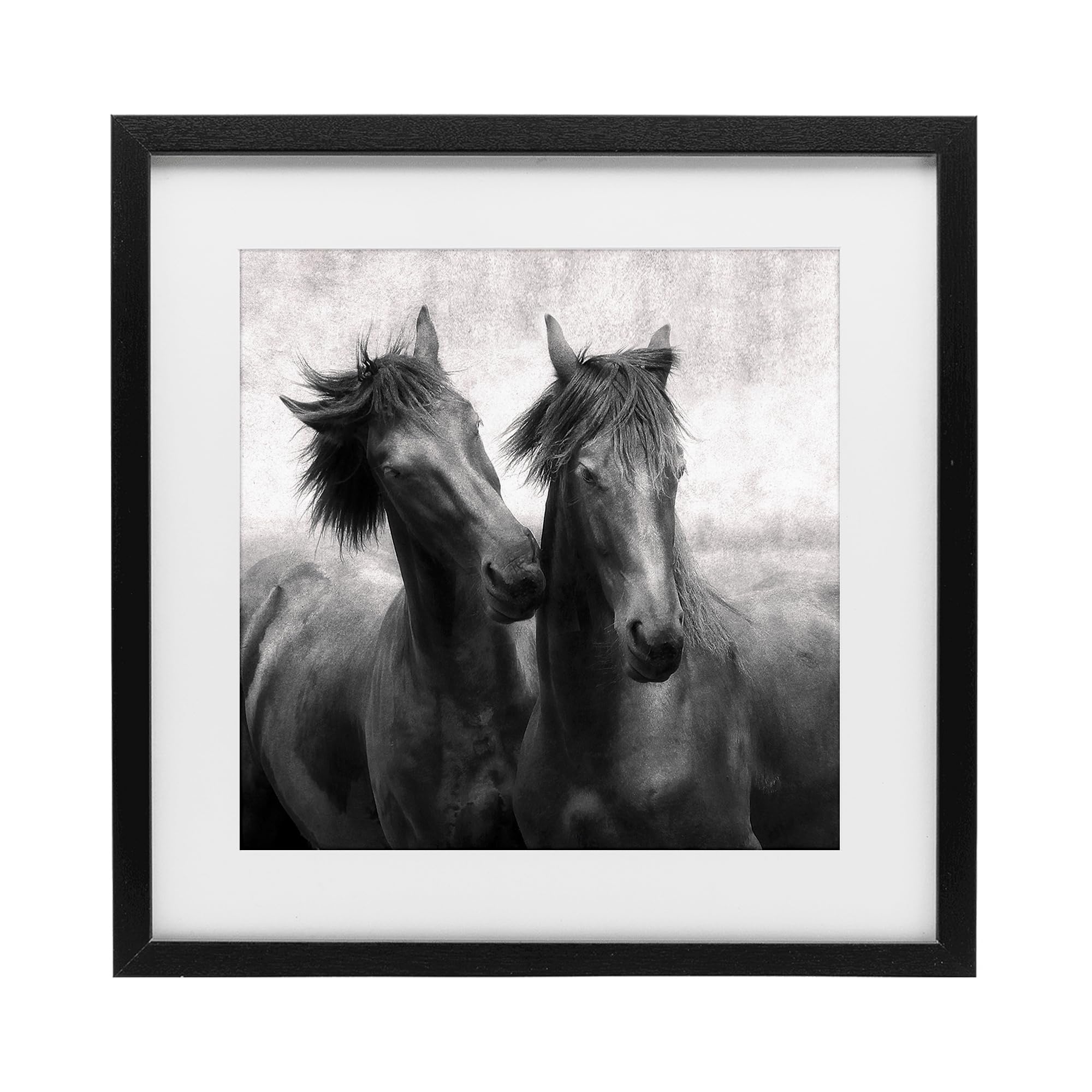 Stupell Industries Midnight Black (Textured) 'Short Haired Horse Pair'| Framed Print Under Glass
