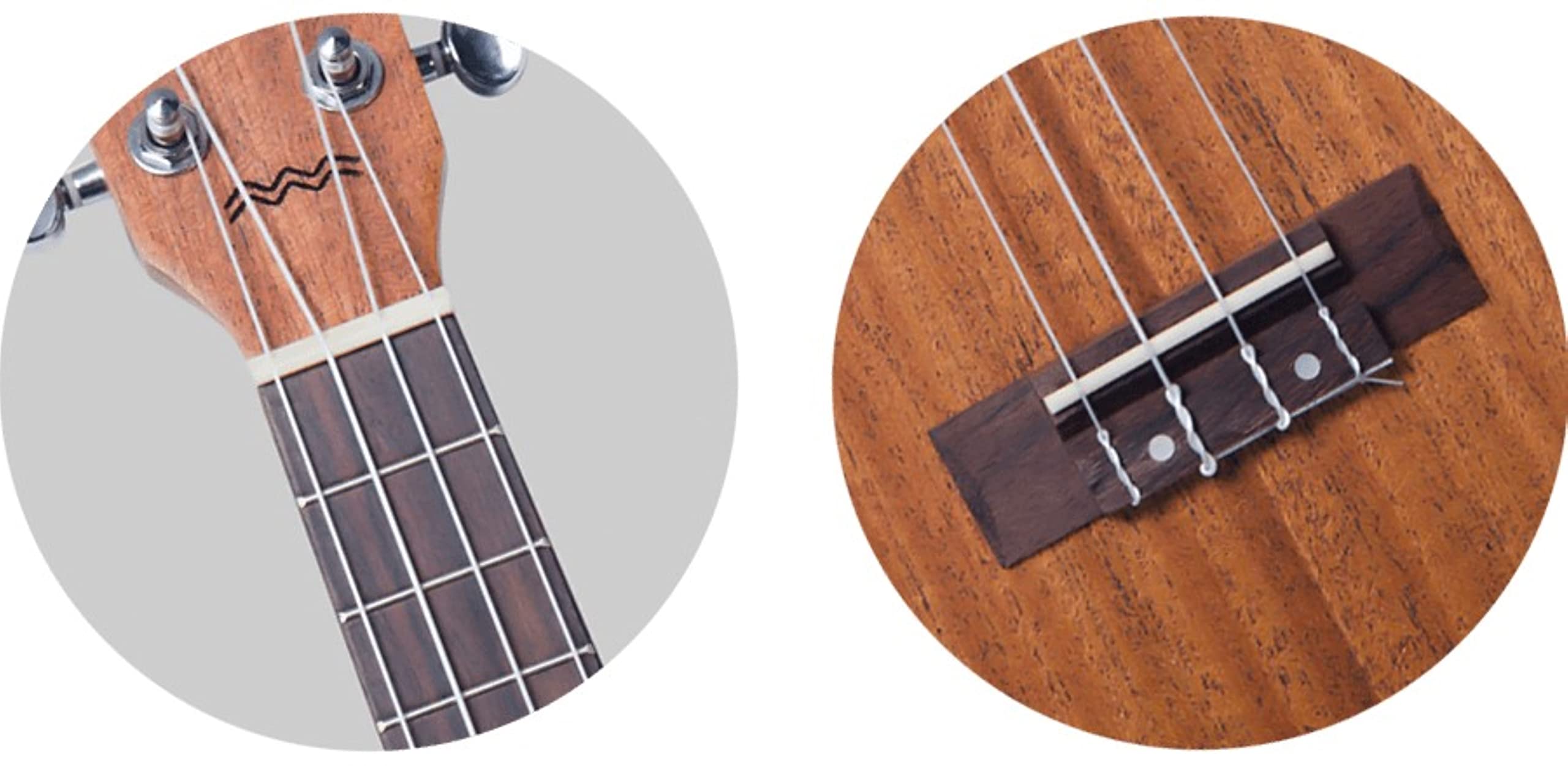 Flight DUC 323 Designer Series - Ukulele da concerto in mogano con custodia
