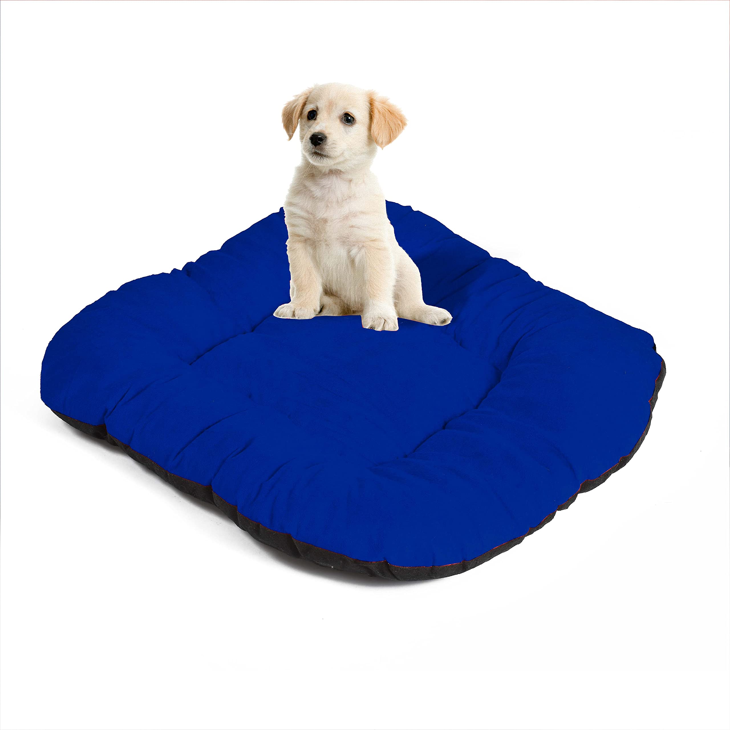 M-TEXITO Dog Bed, Cat Beds for Indoor Cats, Pet Bed for Puppy and Kitty, Extra Soft & Machine Washable (M, Blue) (B0BZJDVL3Q) Amazon Price History, Amazon Price Tracker