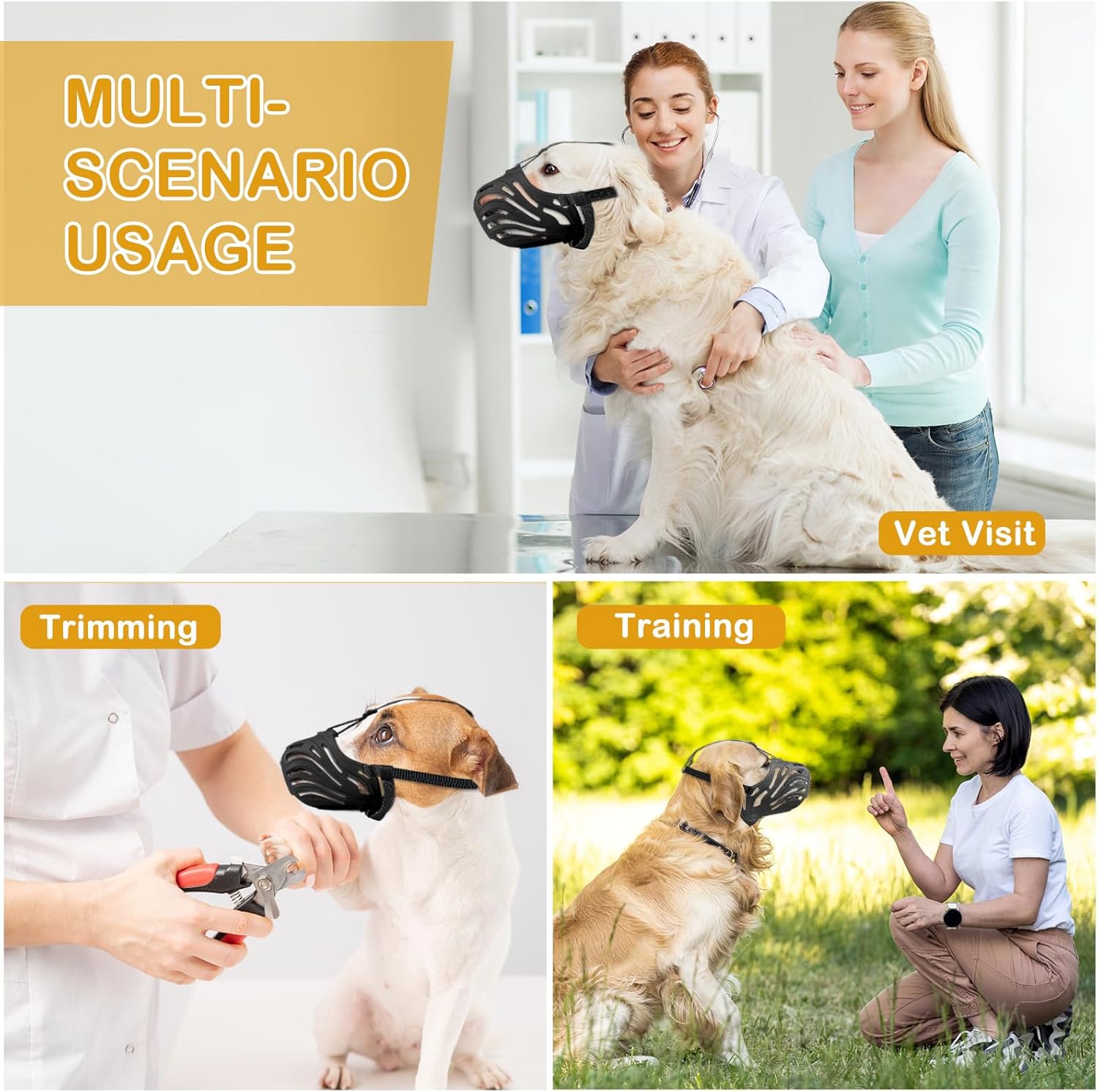 https://m.media-amazon.com/images/I/71mxIs4ahnL._AC_SL1500_.jpg