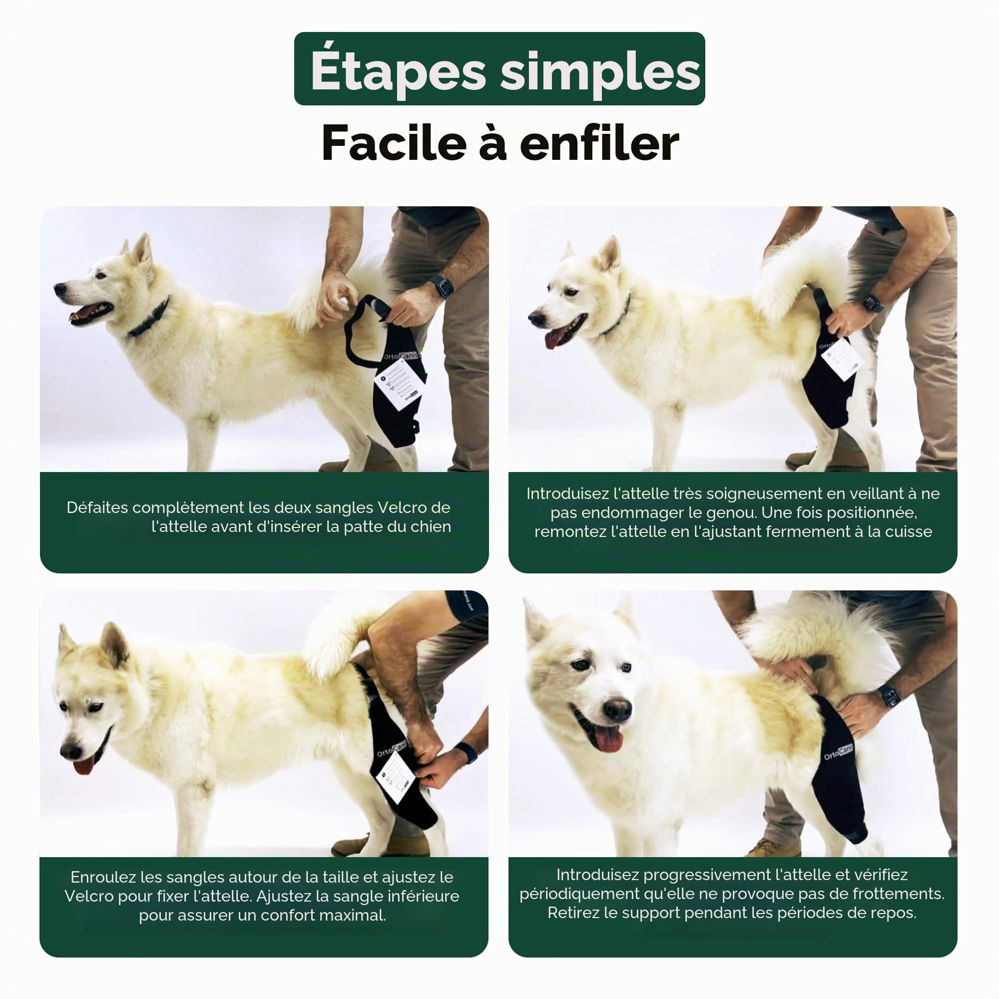 Ortocanis - Attelle Chien - Immobilisateur Genou pour Blessure - Rupture Ligament - Luxation Rotule - Patte Gauche - Taille L