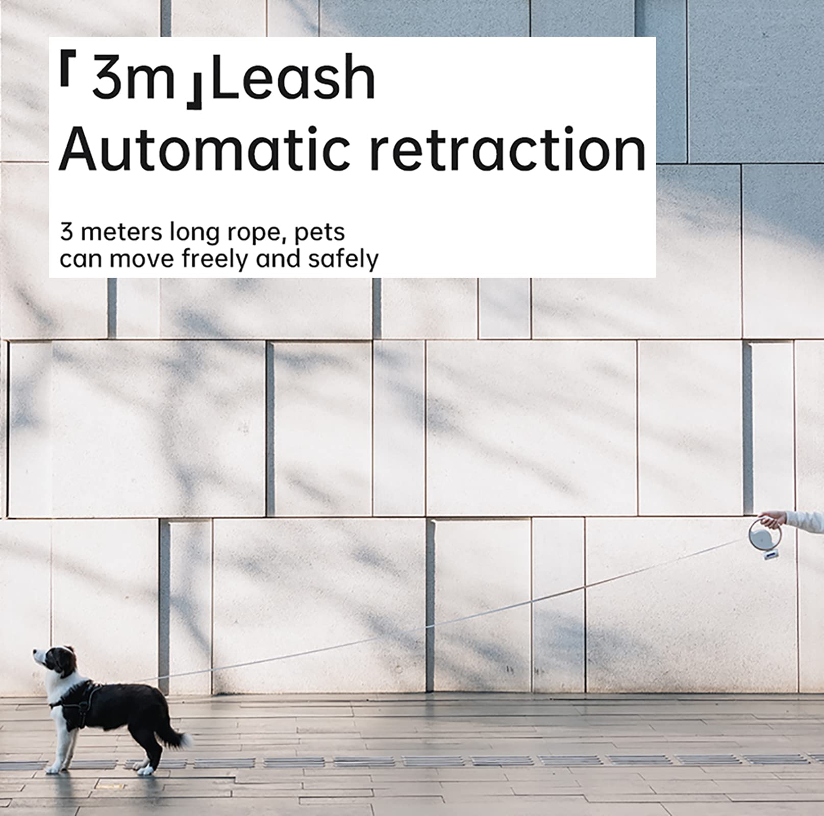 Laisse Chien Rétractable Réfléchissante, 360 ° sans Enchevêtrement Laisse Chien Enrouleur, Laisses Rétractables avec Lumière LED Et Distributeur pour Chiens,50kg (3m/10ft)