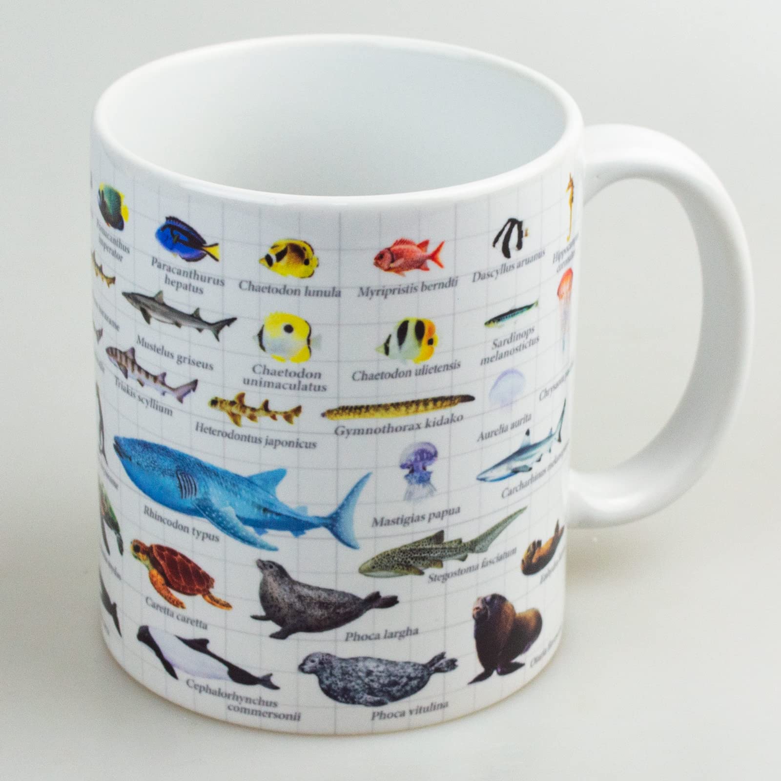 【貴重品】マリンピア松島水族館　マグカップ　非売品　スタンプラリー　景品 貴重品】マリンピア松島水族館 マグカップ 非売品 スタンプ