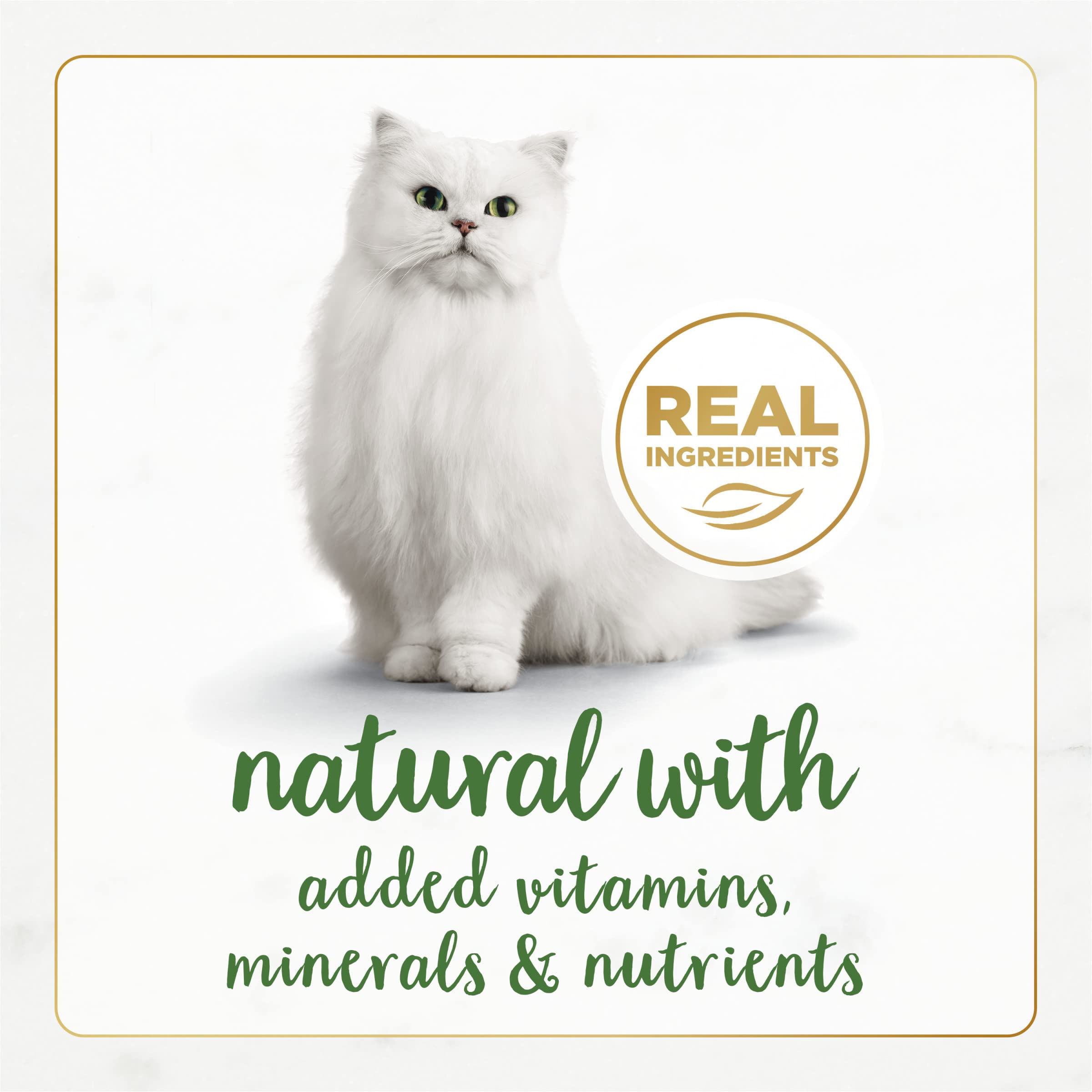 Purina Fancy Feast Comida húmeda para Gatos Adultos