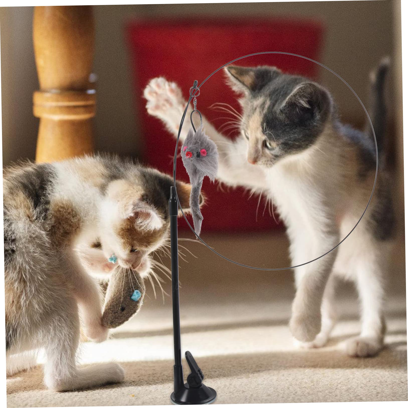 Sosoport Jouets Interactifs pour Chats Jouets pour Chatons De Interactif Ventouse pour D'Aspiration De De De avec Ventouse