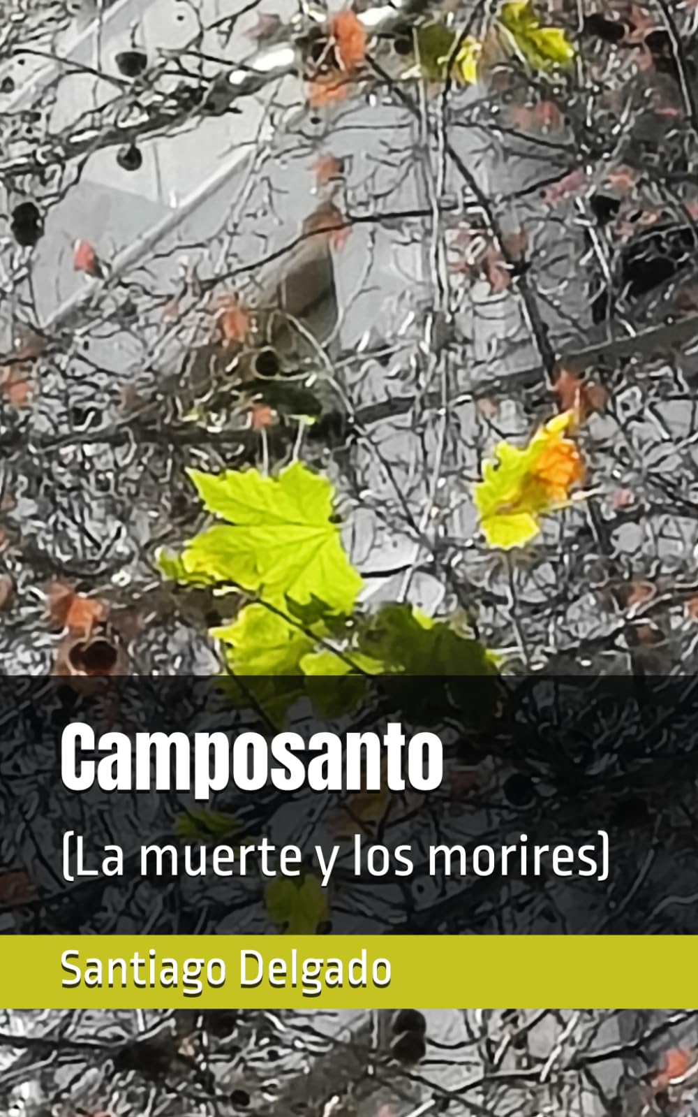 Camposanto: (La muerte y los morires)