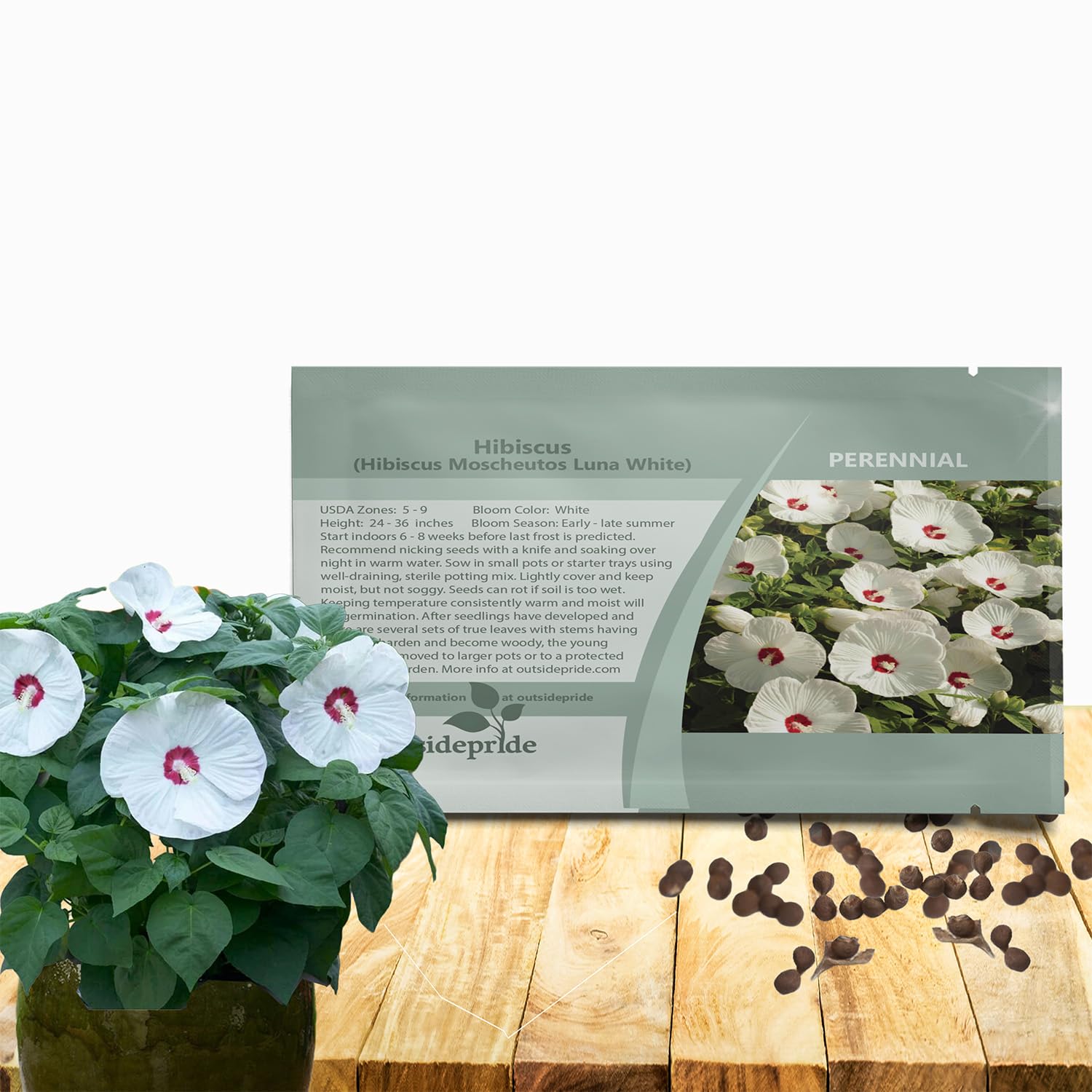 Outsidepride Luna White Hibiscus Seeds - 10 Pcs Perennial Flower Seeds for Planting Pollinator-Friendly, Large & Elegant Blooms with Dense Dark Green Foliage for Containers, Pots, & Garden Spaces