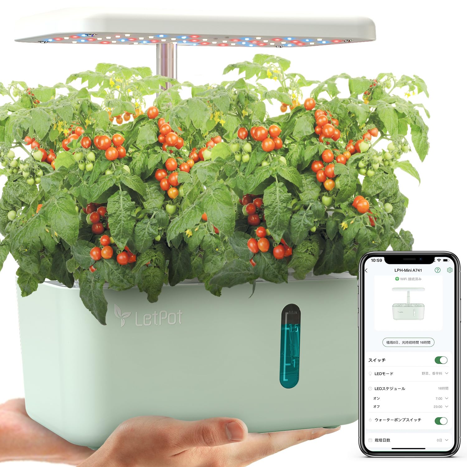 Amazon | LetPot水耕栽培キット - APPで遠隔操作できる室内すいこう Amazon | LetPot水耕栽培キット - APPで遠隔操作できる室内すいこう