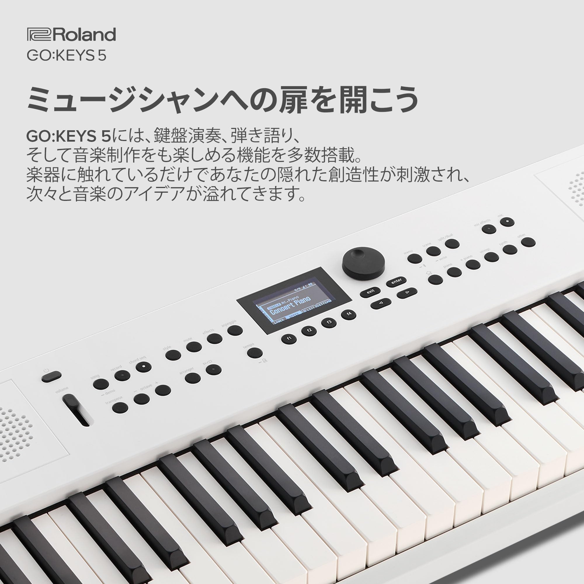 Amazon.co.jp: Roland ローランド 電子キーボード GOKEYS5-WH 61
