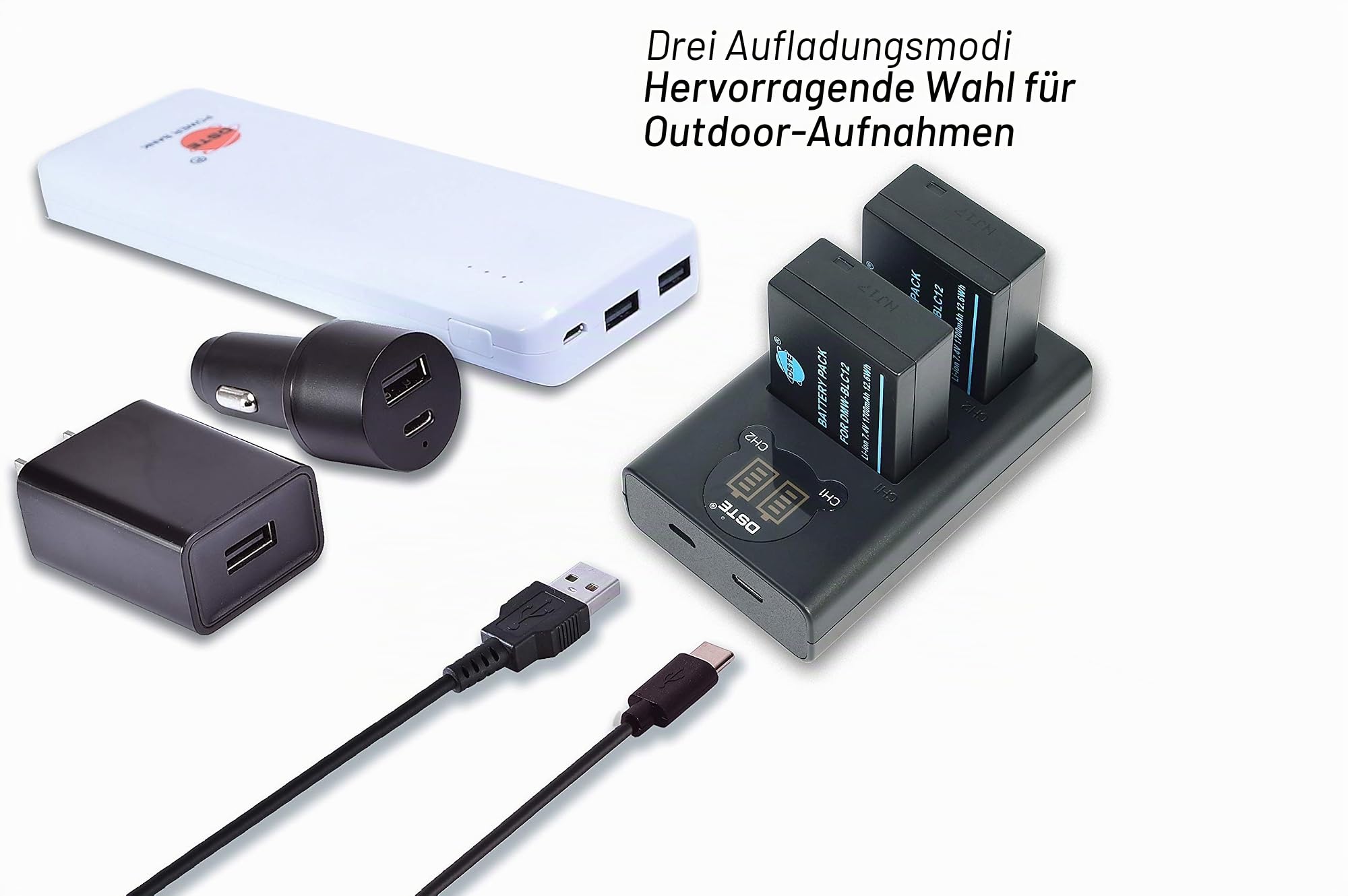 DSTE® DMW-BLC12 DMW-BLC12e Akku + Dual USB Schnellladegerät Kit für Panasonic Lumix DMC-GH2 DMC-FZ330 DMC-FZ200 DMC-FZ200GK DMC-FZ1000 V-LUX4 Leica Q Kameras wie DMW-BLC12PP BP-DC12 Sigma BP-51