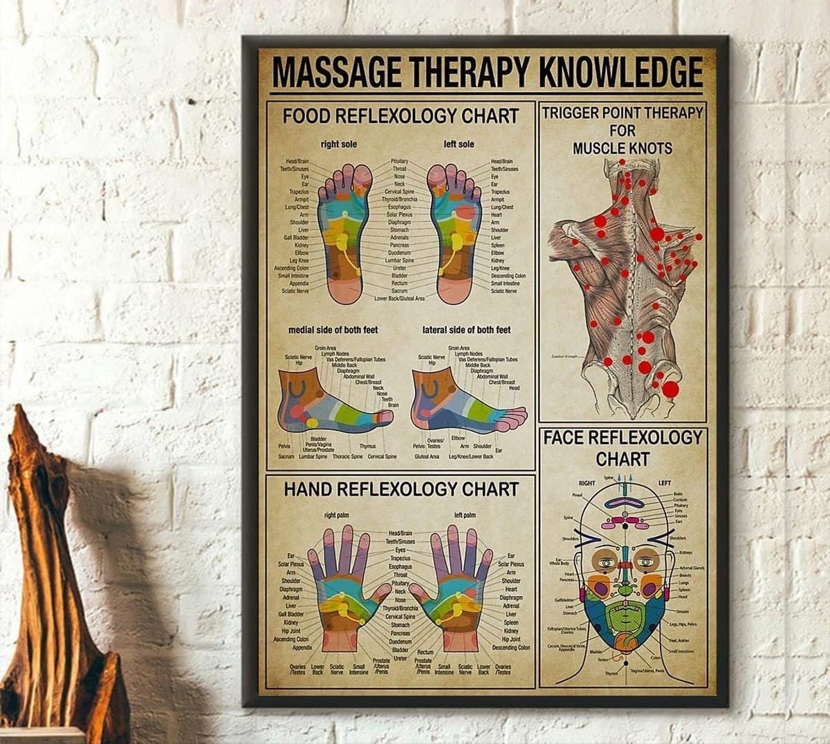 Kueprae A483 Massage Therapist Knowledge Therapy Foot Reflexology Chart Trigger Point Wall Art Gift For Friend Vintage Retro Style Metal Tin Sign 8X12 Inch