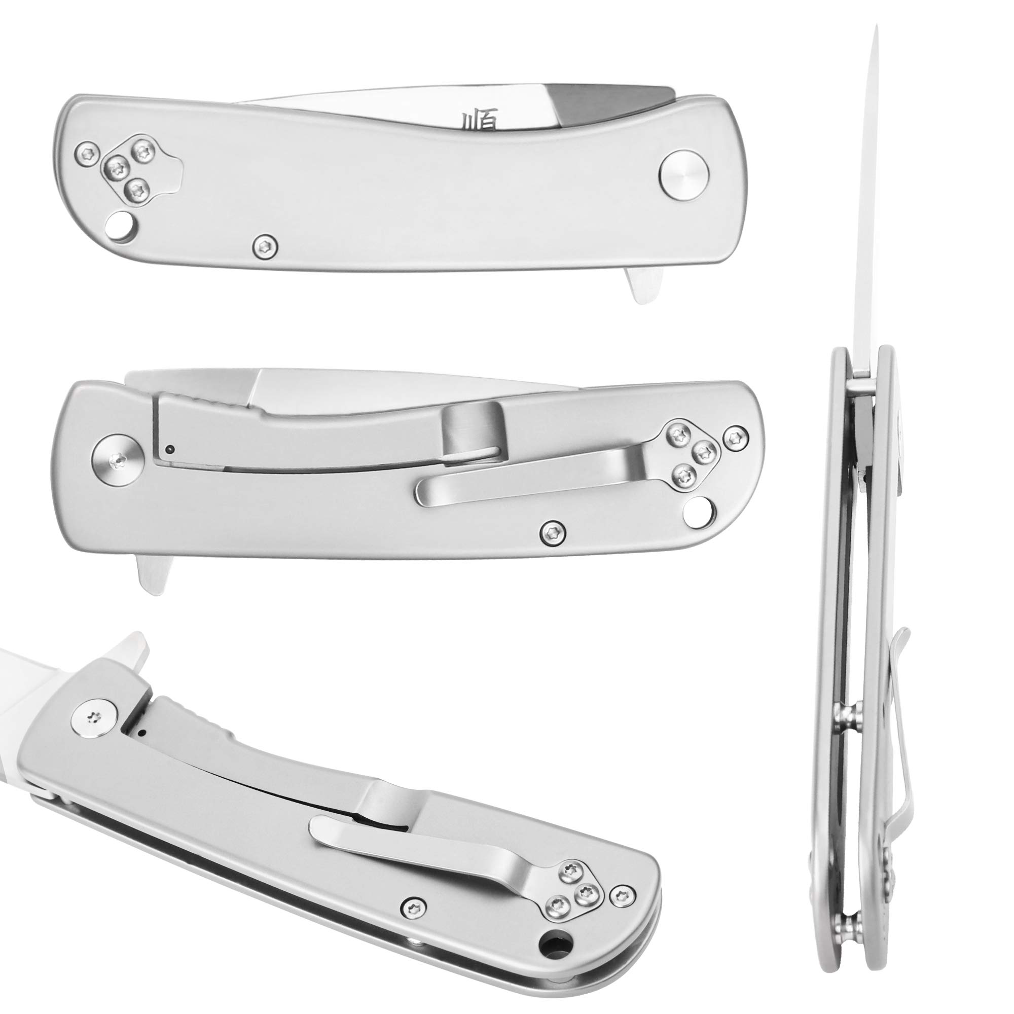 YOUSUNLONG Coltello da Tasca Pieghevole Coltello da Esterno - Fine Edge - Lama D2