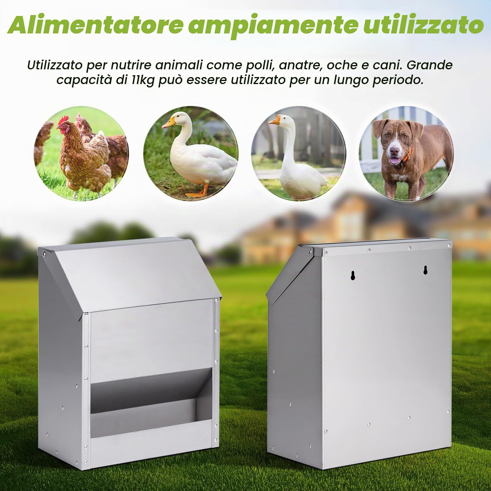 Distributore Automatico Mangime Per Polli, 10 Kg di Mangime per Pollame Appeso in Acciaio Inox con Abbeveratoio per Polli, Senza Sprechi, Mangiatoia per Pollai All'Aperto, Mangiatoia per Anatre, Oche