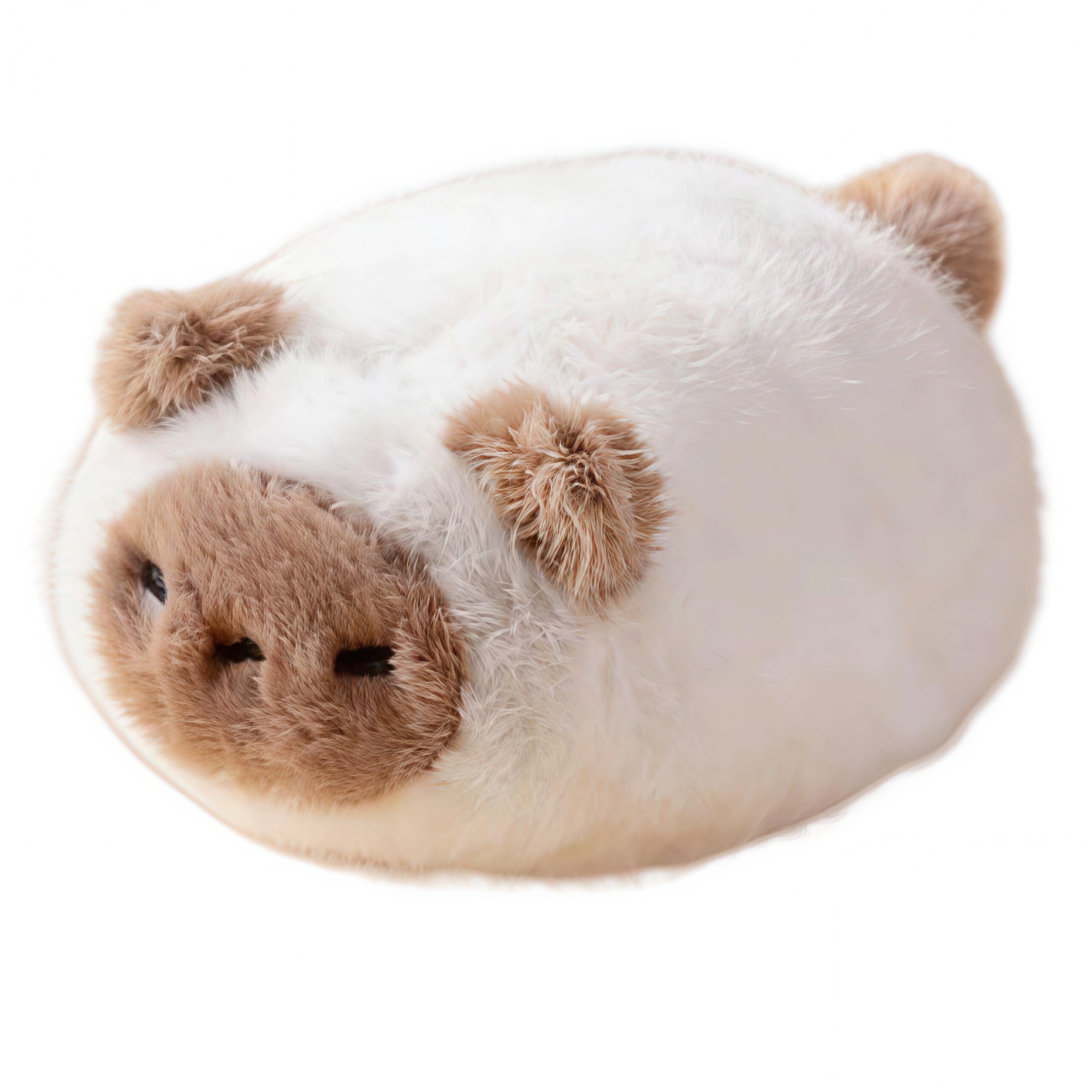 Amazon.co.jp: 【DYDD】猫 ぬいぐるみ パンねこ 16cm ミニぬいぐるみ
