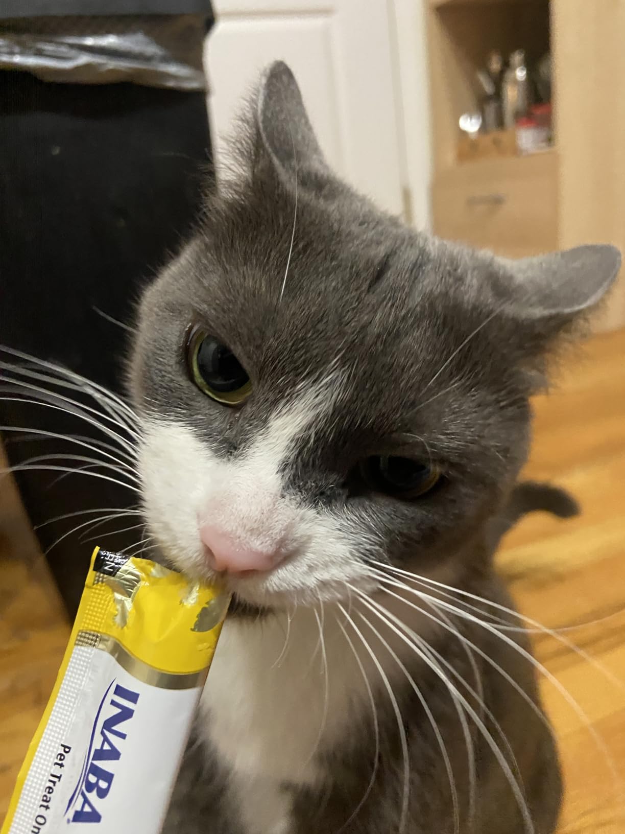 INABA Churu Cat Treats, Grain-Free, Lickable, Squeezable Creamy Purée Cat Treat/Topper with Vitamin E & Taurine, 0.5 Ounces Each Tube, 50 Tubes, Tuna & Chicken Variety photo review