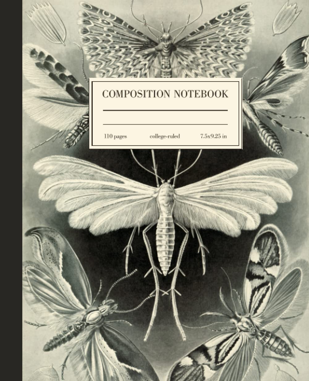 Composition Notebook College Ruled: Moth Vintage Botanical Illustration | Goth Aesthetic Journal For School, College, Office, Work | Wide Lined