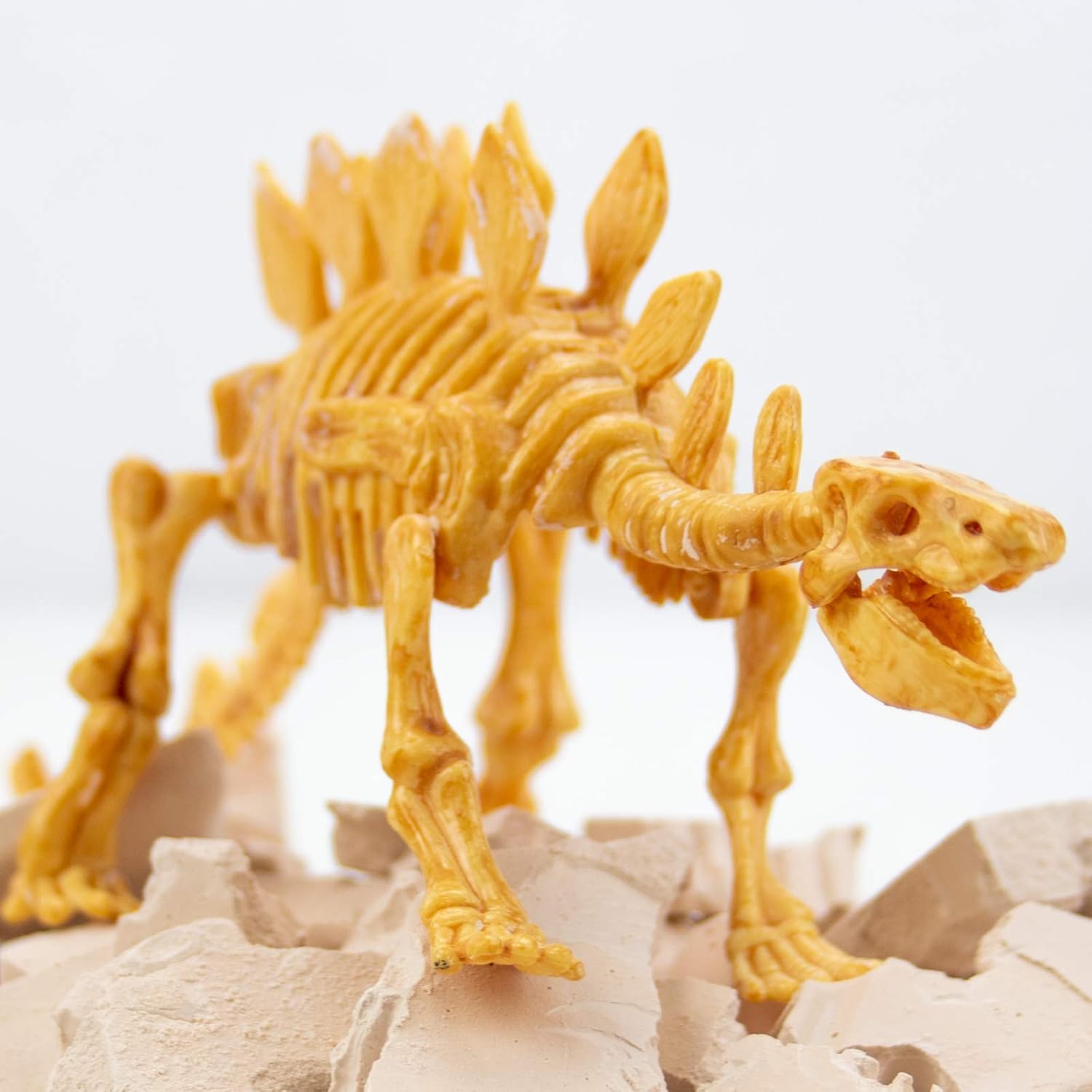 Science4you Stegosaurus Fossil Digging Kit for Kids - Excavate and Assemble 10 Stegosaurus Dino Bones - Ideal Dinosaur Excavation Kit, Archeology, Paleontology Toy for Kids Age 6 7 8+