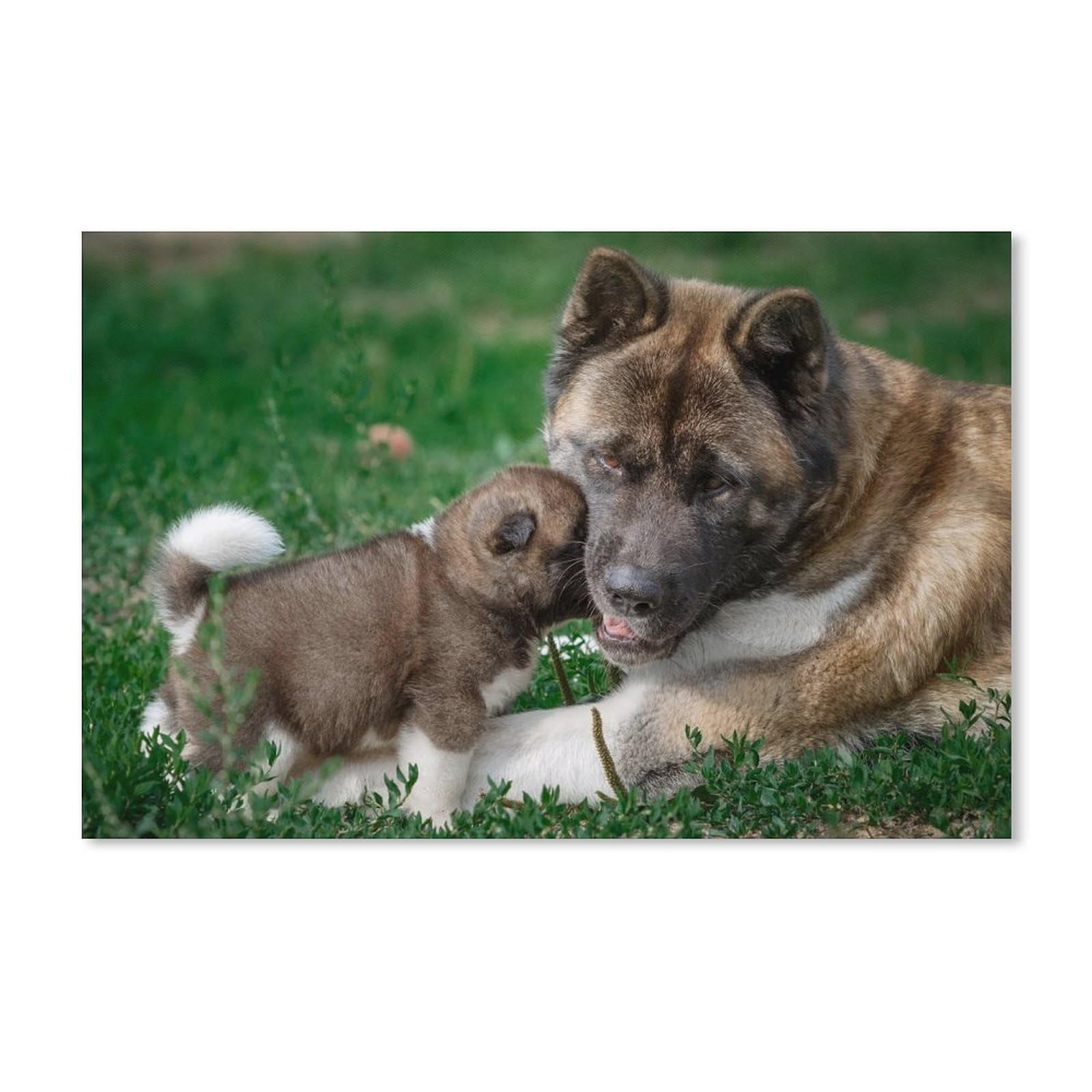 Sanzez Ka195 5D Diy Diamond Painting Full Round，American Akita Dog Mother And Puppy，Diamond Embroidery Cross Stitch Diamond Mosaic Decoration Gift 40X40cm