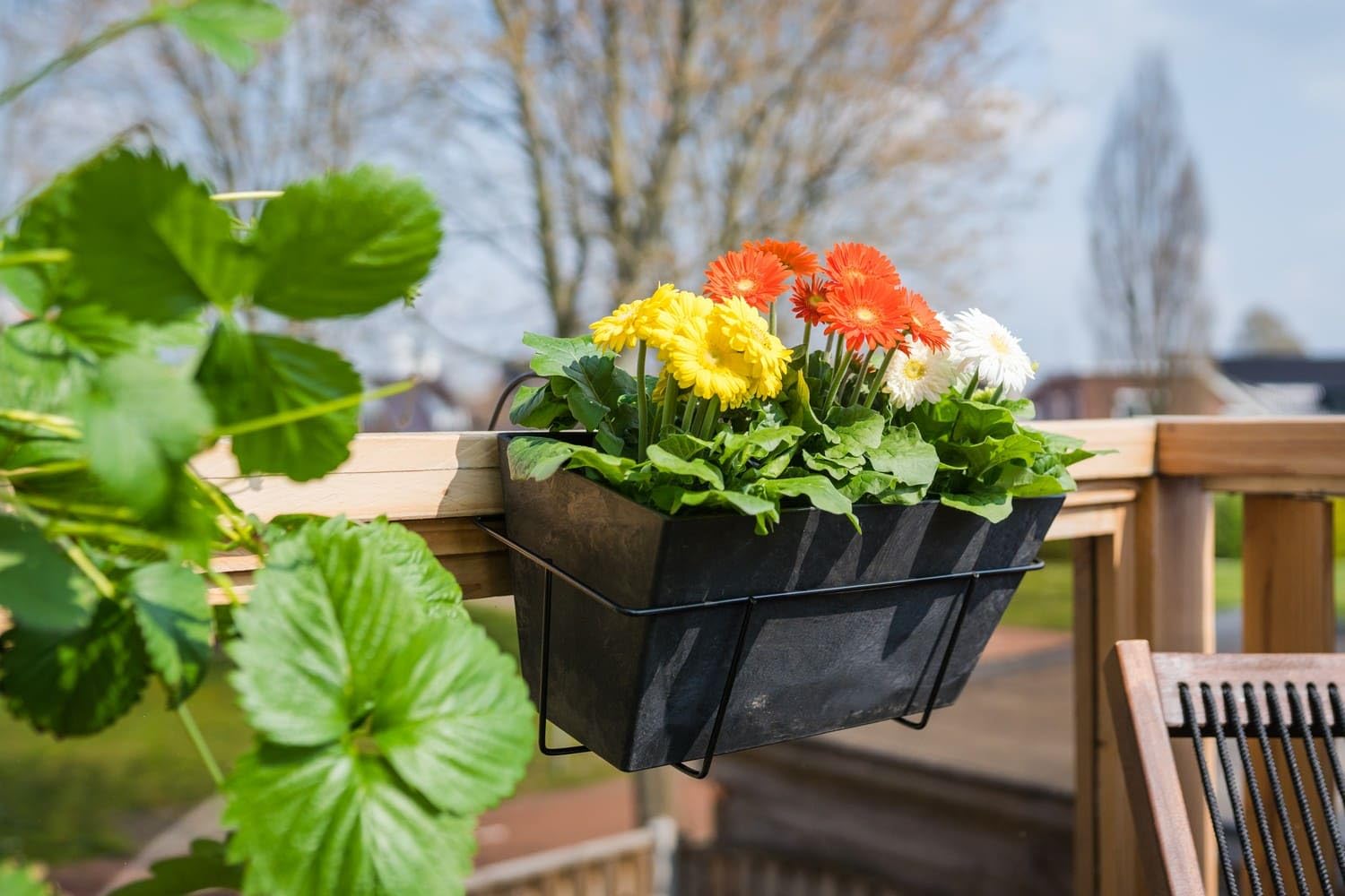 blumenkasten lechuza ersatzteile Trichter für Lechuza Balconera – Ersatzabdeckung mit Insektenschutz –  PrintScore main image 1