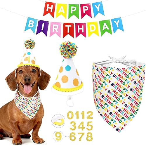 Dog First Birthday Party Decorations, Adjustable Dog Bandana Set with Hat, Numbe