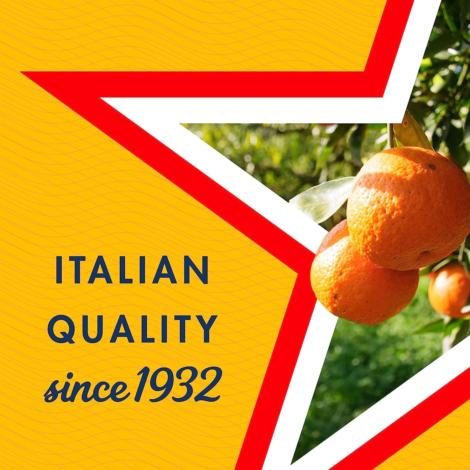 L'Aranciata Lot de 72 boîtes de 330 ml San pellegrino Orange Limonade Original Orange + Italian Gourmet Polpa 400 g
