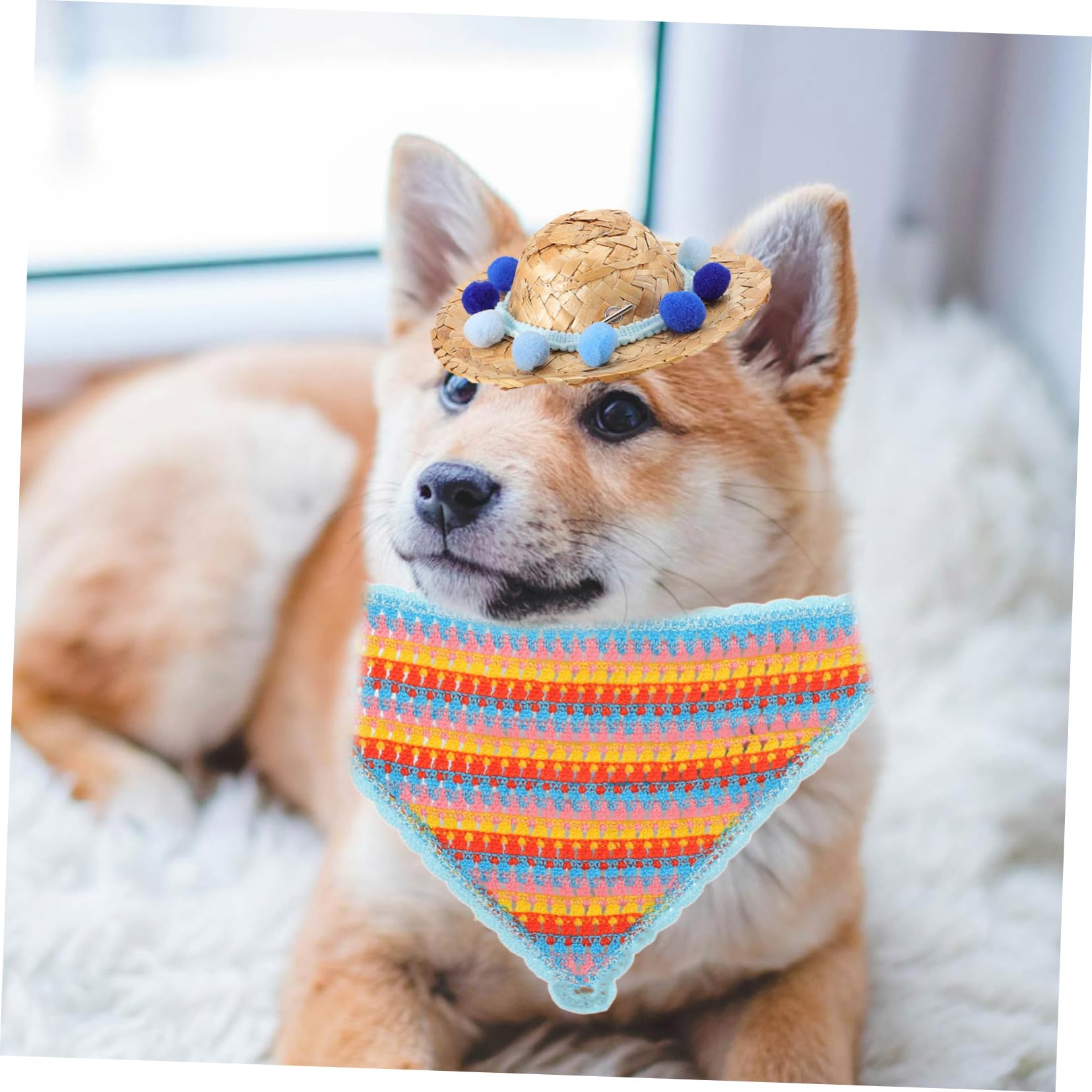 Toyvian 1ensemble Chapeau pour Chien avec Bandana De Costume pour Animaux De Compagnie Accessoire Photographique pour Sorties Et avec Pompon
