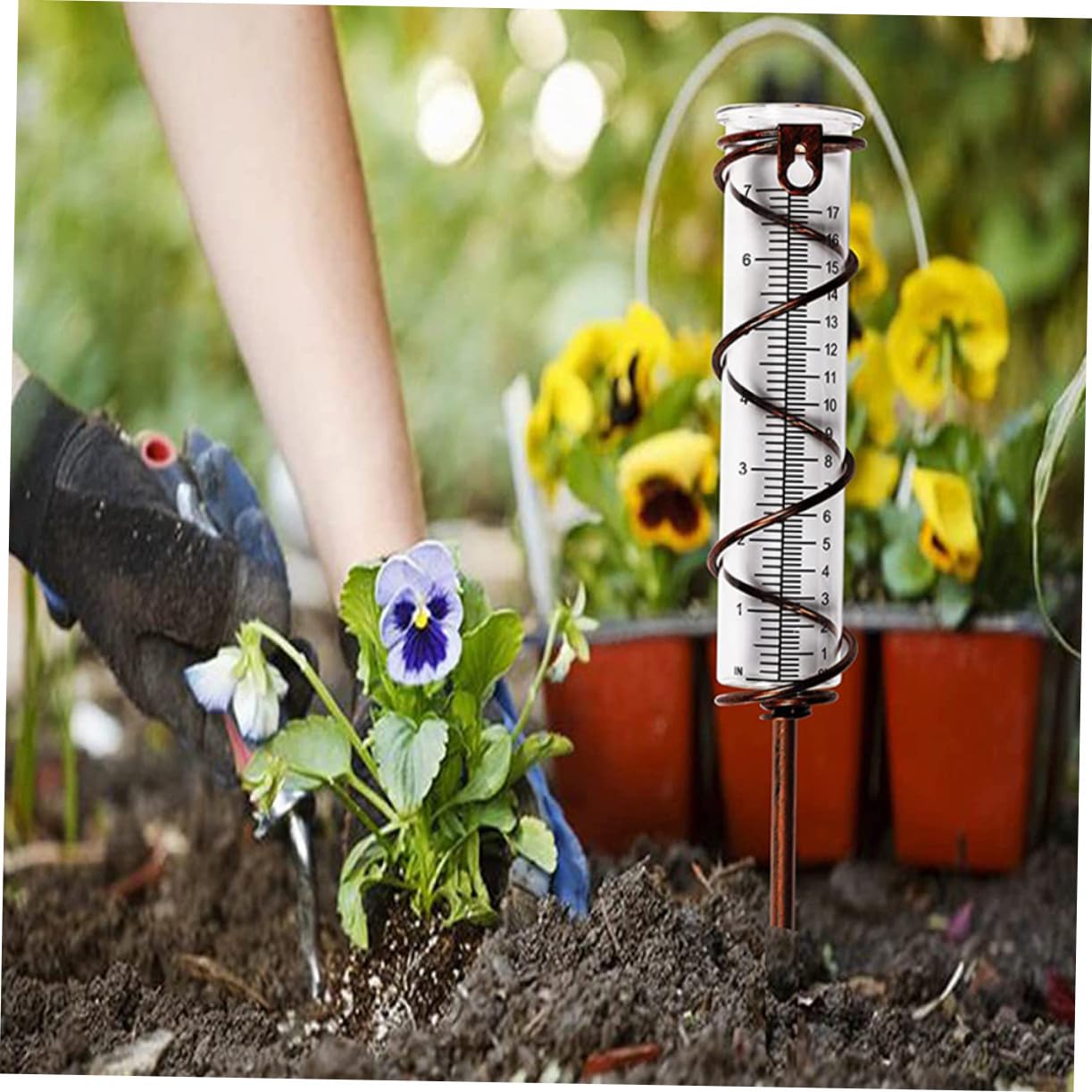POPETPOP Glas Regenmesser Reagenzglas 4 Stück mit Skala für Garten