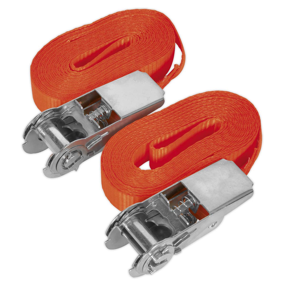 Sealey TD08045E Self-Securing Ratchet Tie Down 25mm x 4.5m 800kg Breaking