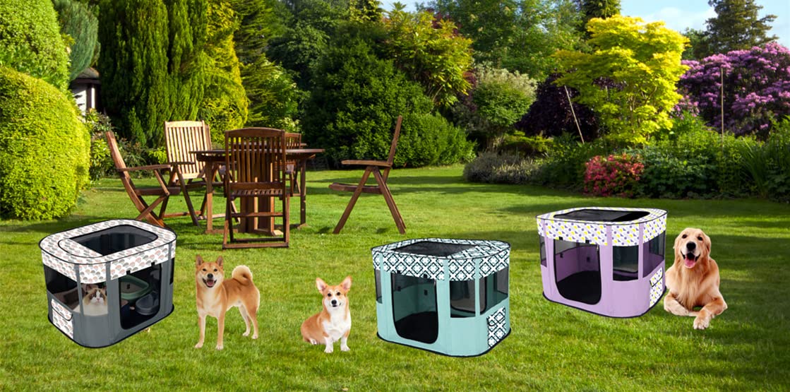 Floving Cuccia portatile per animali domestici, pieghevole, rettangolare, per sala da parte, cuccia per gatti, cuccioli, cuccia per animali domestici (Azzurro, M/80 * 60cm)